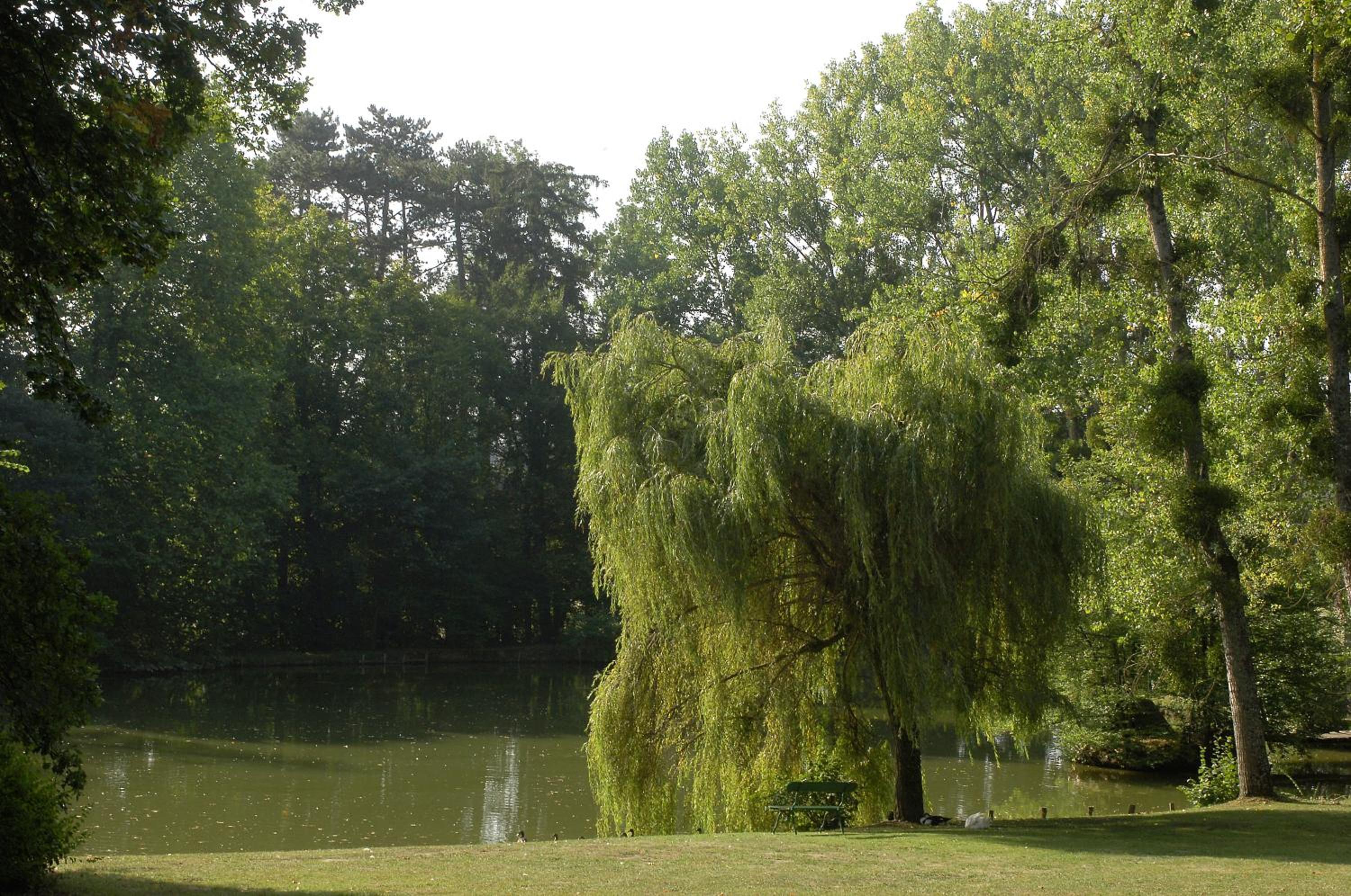 Le Chalet Montegut