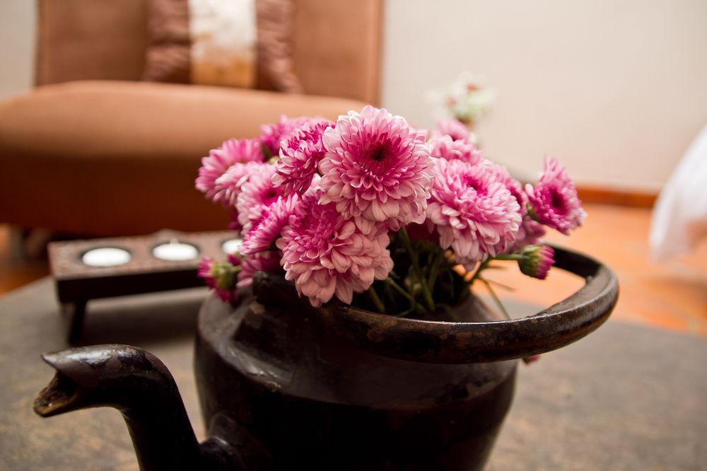 La Casa Del Naranjo by null