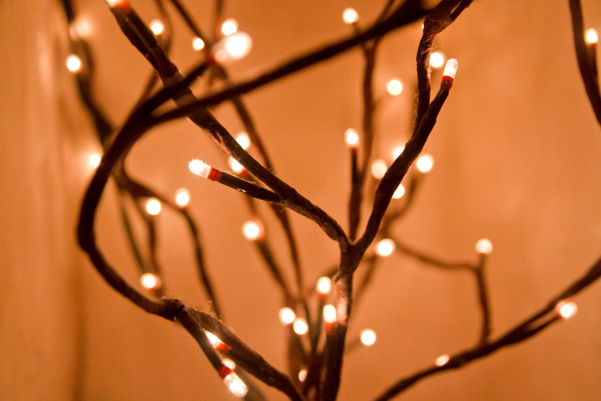 La Casa Del Naranjo by null