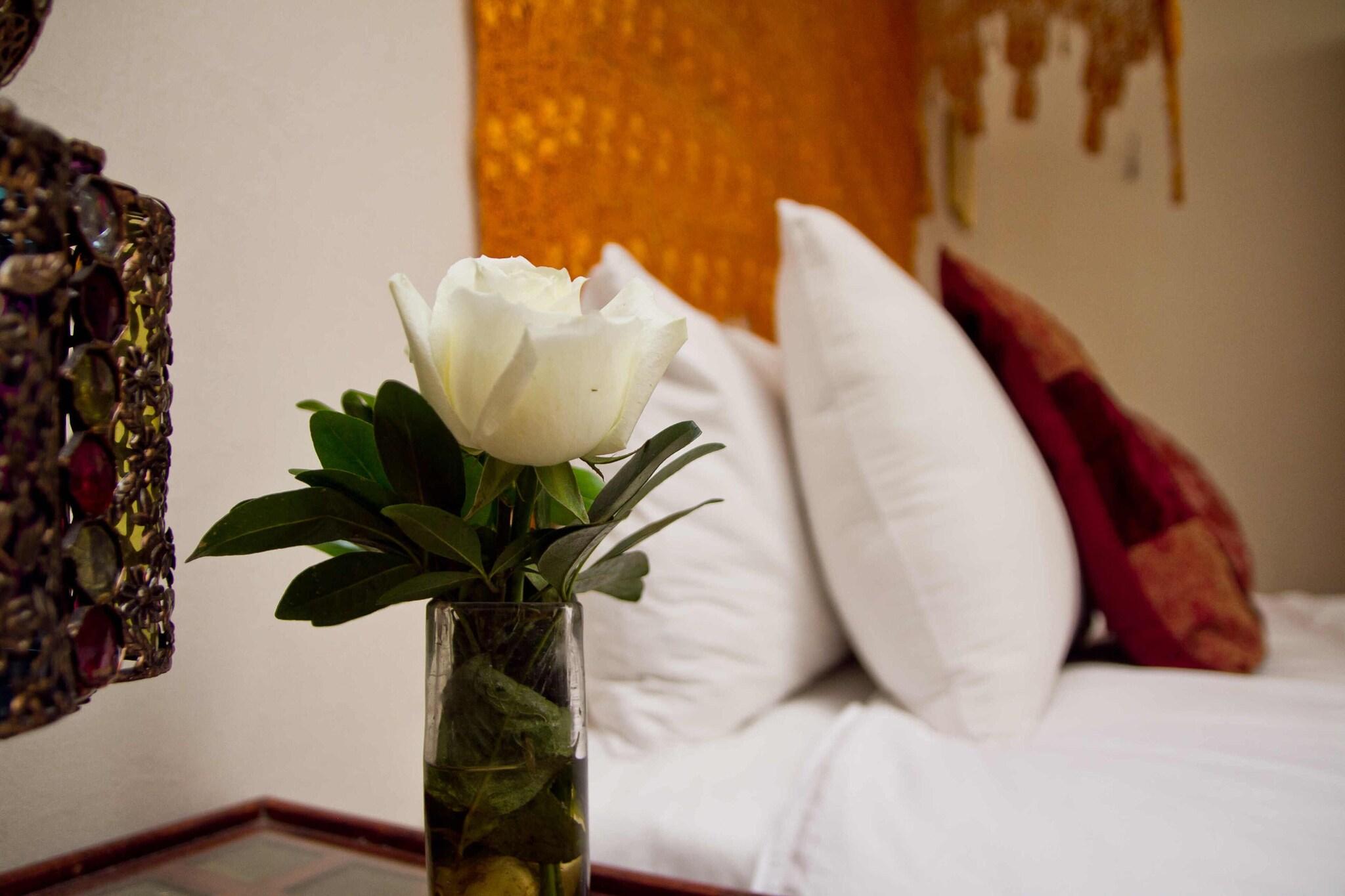 La Casa Del Naranjo by null