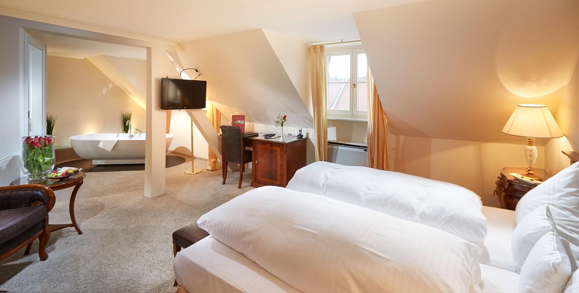 Schloss Reinach by null