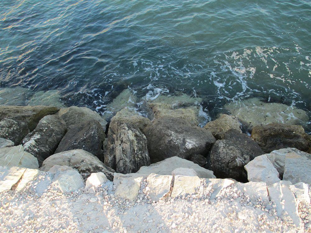 Pansion Amigos - photo