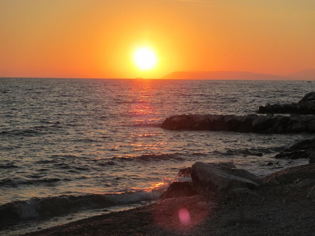 Pansion Amigos - photo