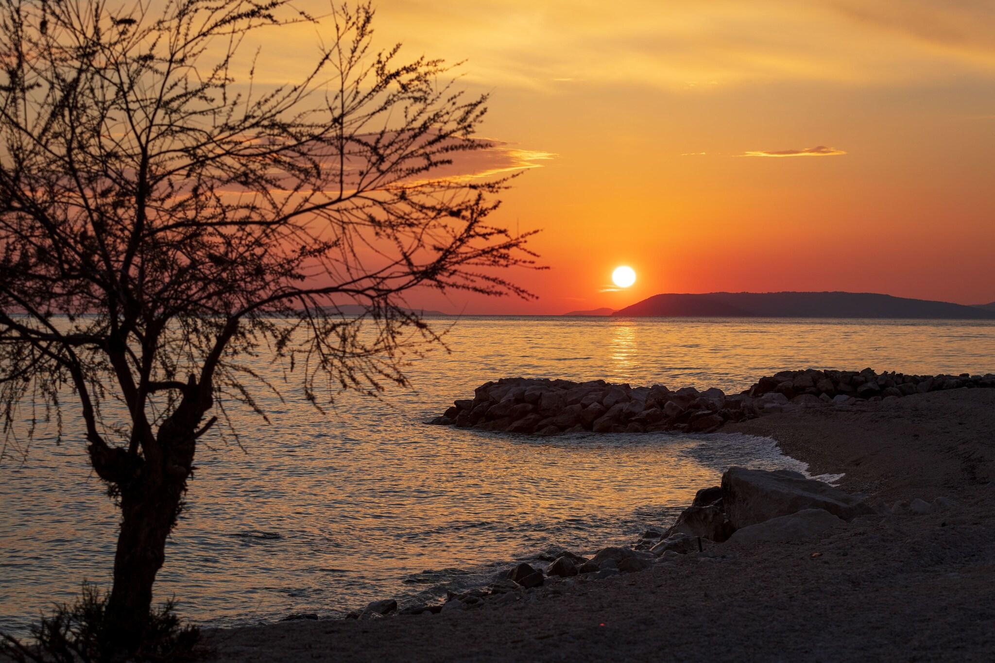 Pansion Amigos - photo