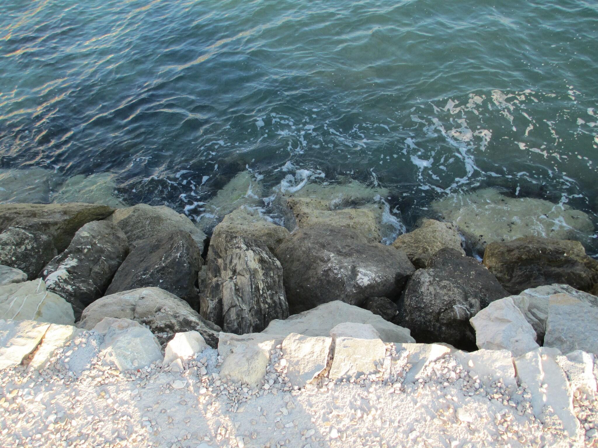 Pansion Amigos - photo