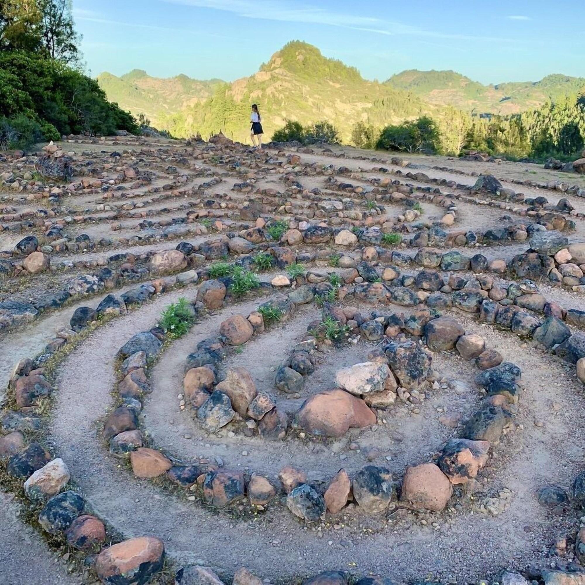 Cottage Grove Inn by null