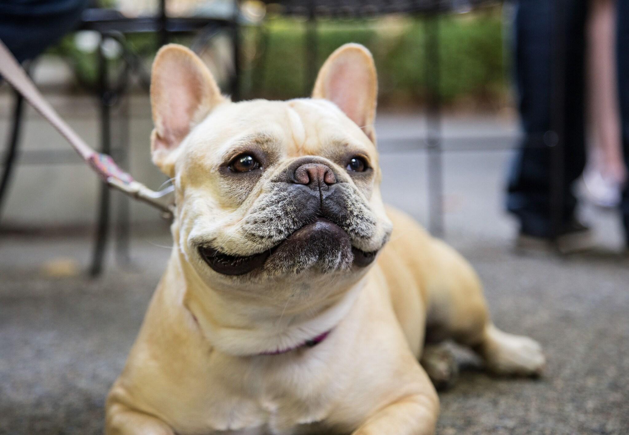 Cottage Grove Inn by null