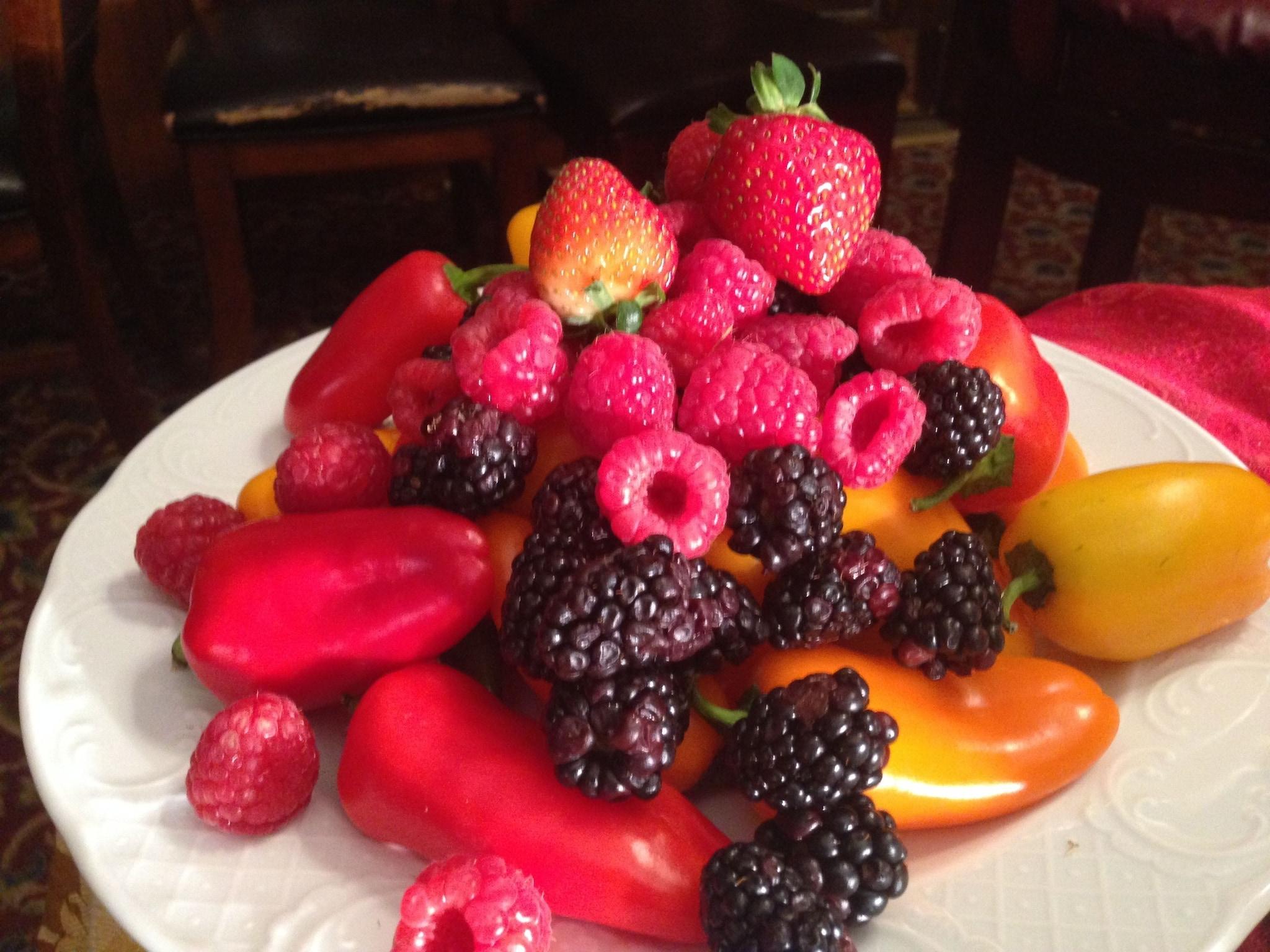 Hotel Seward by null