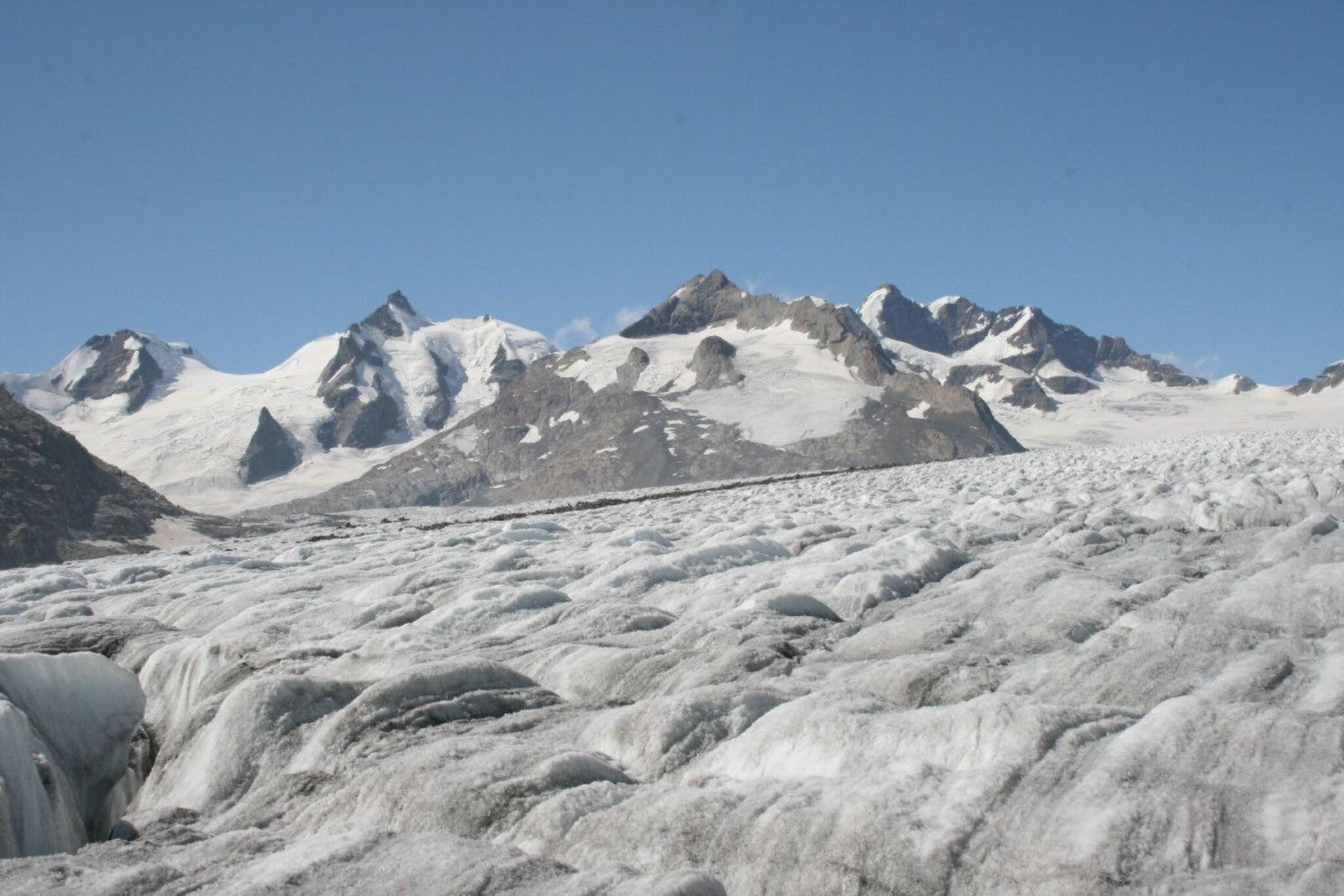 Hotel Restaurant Fiescherhof by null