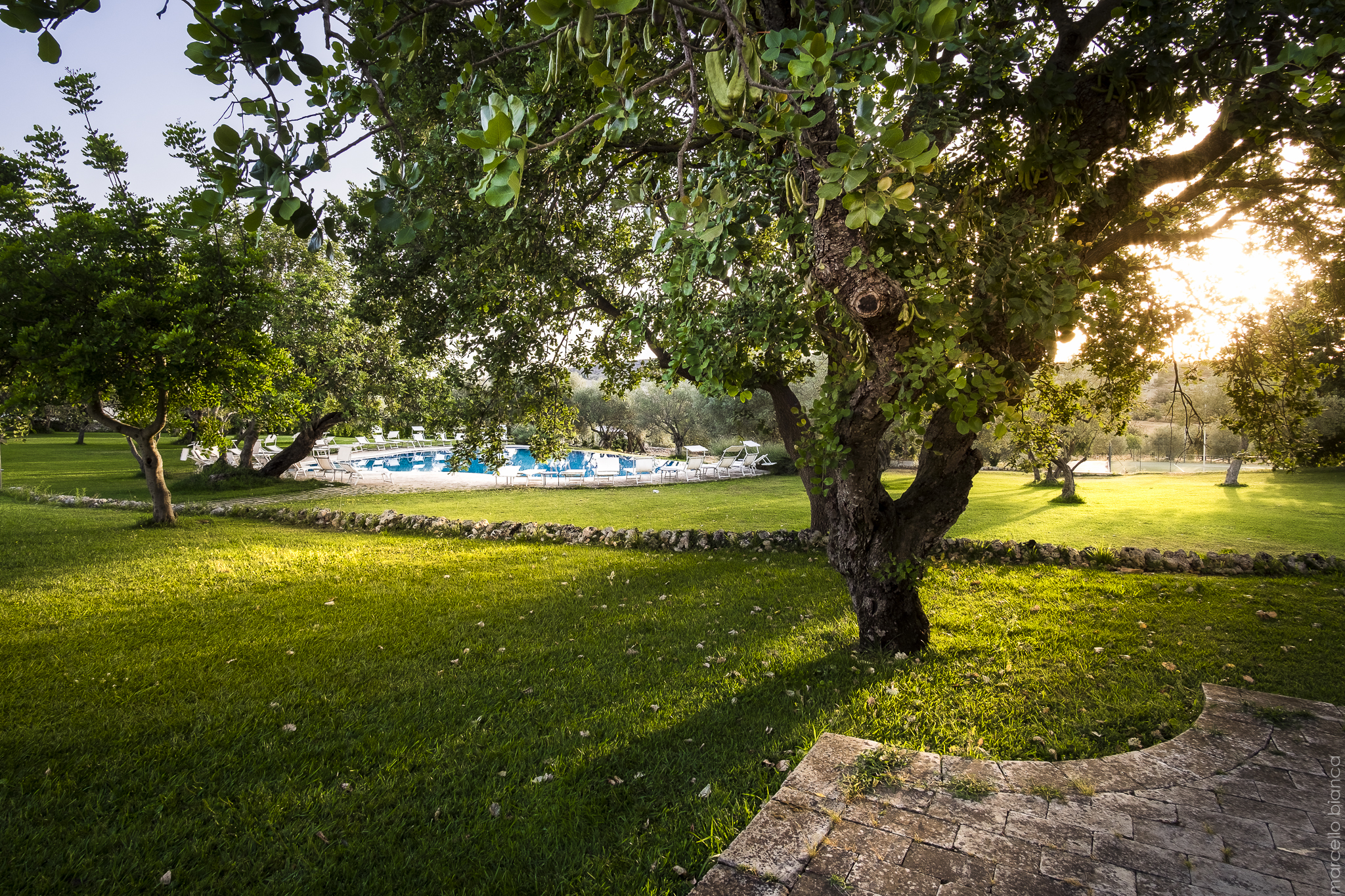 Masseria degli Ulivi by null