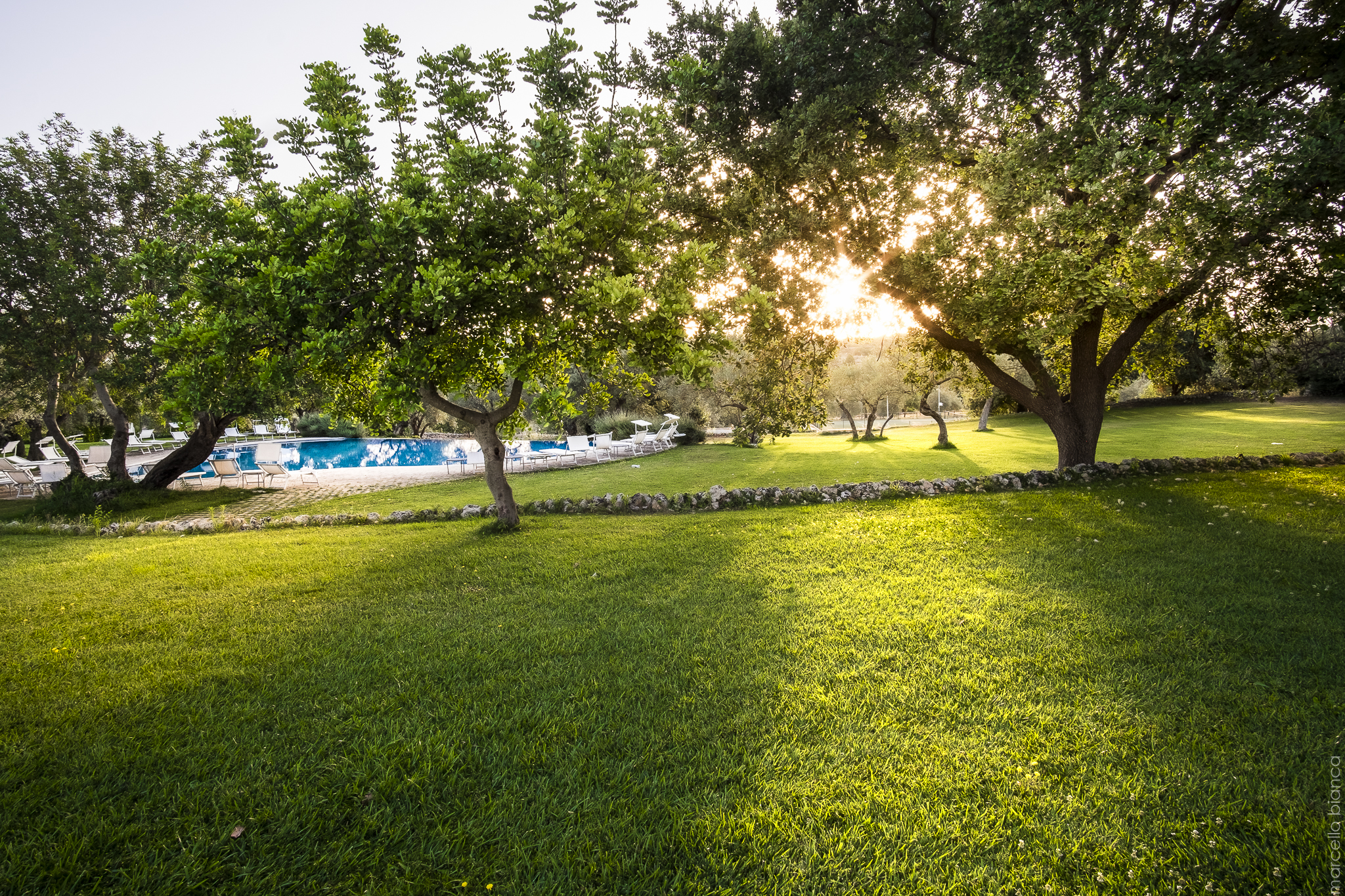 Masseria degli Ulivi by null