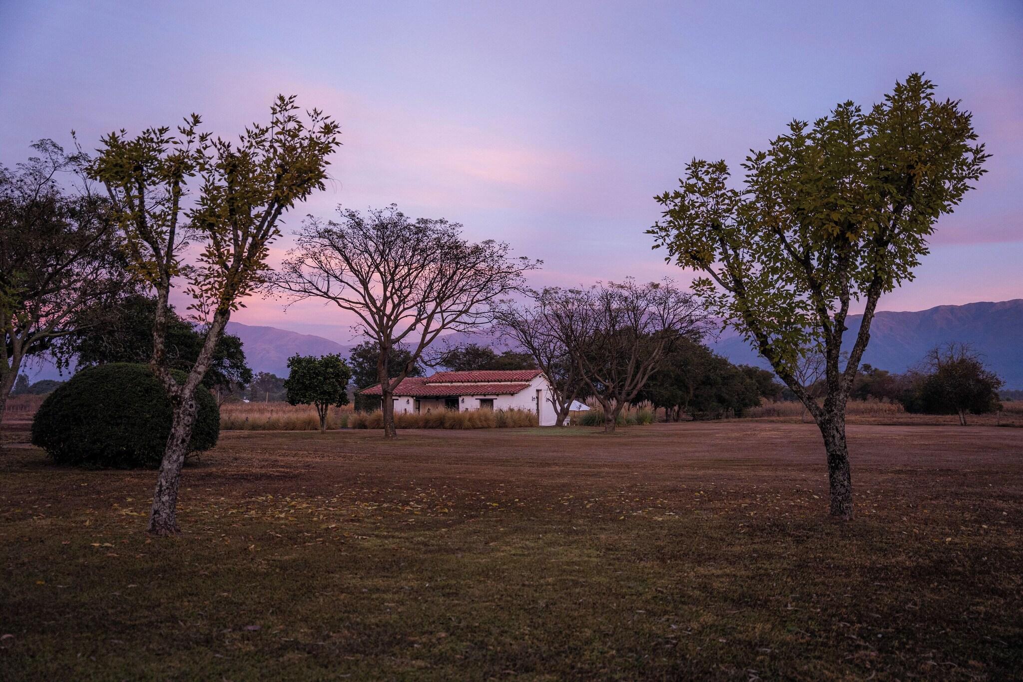 House of Jasmines by null