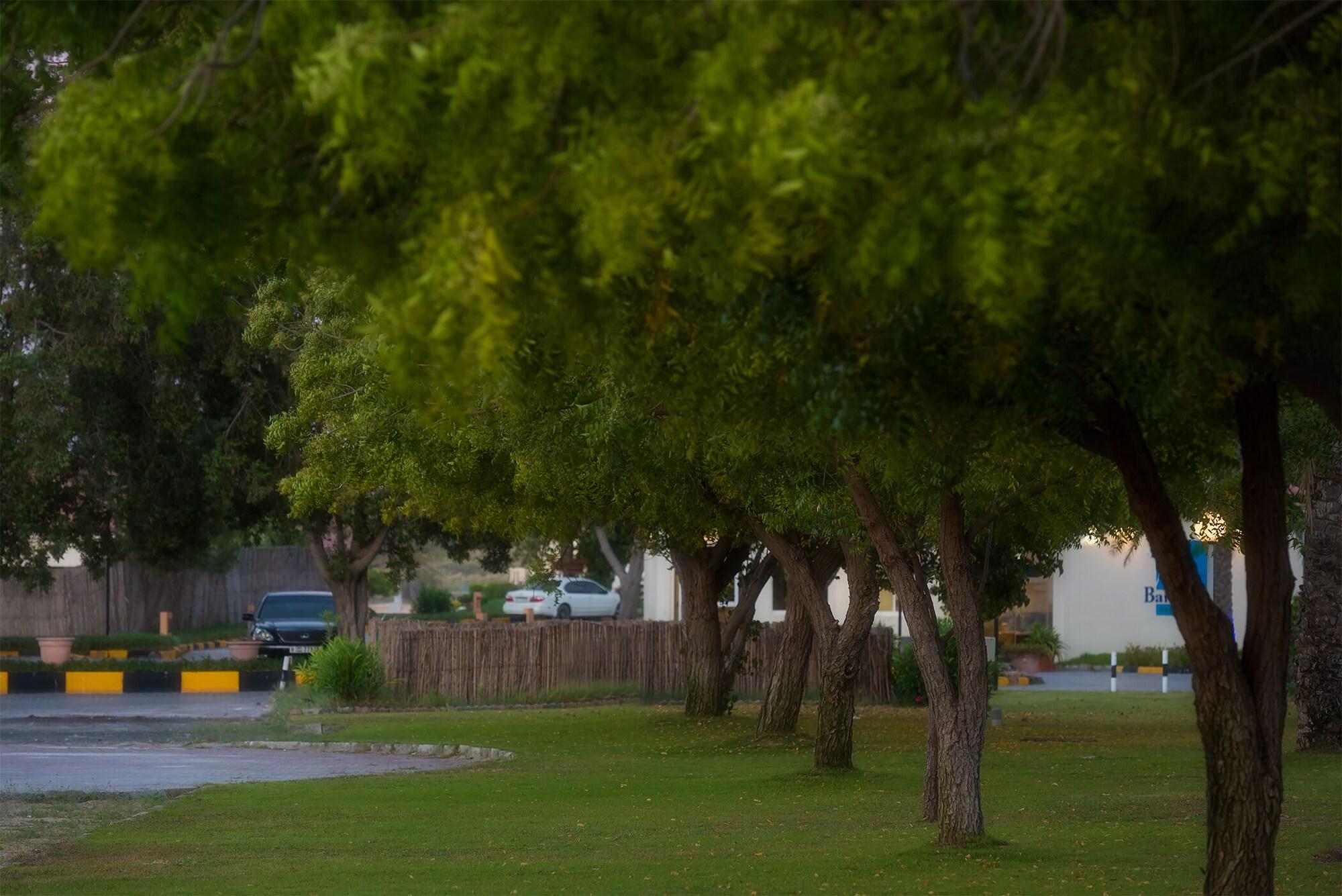 Barracuda Beach Resort - photo