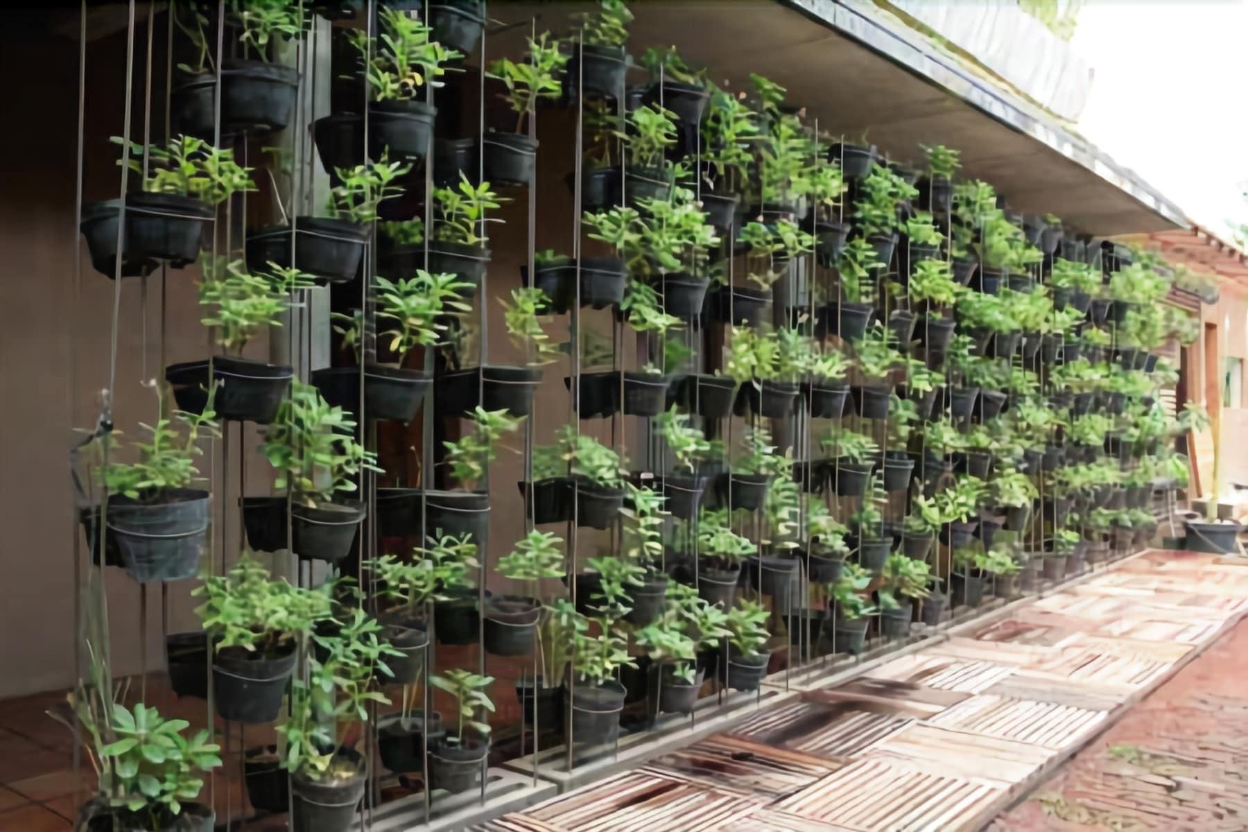 Rumah Turi Boutique Resort by null