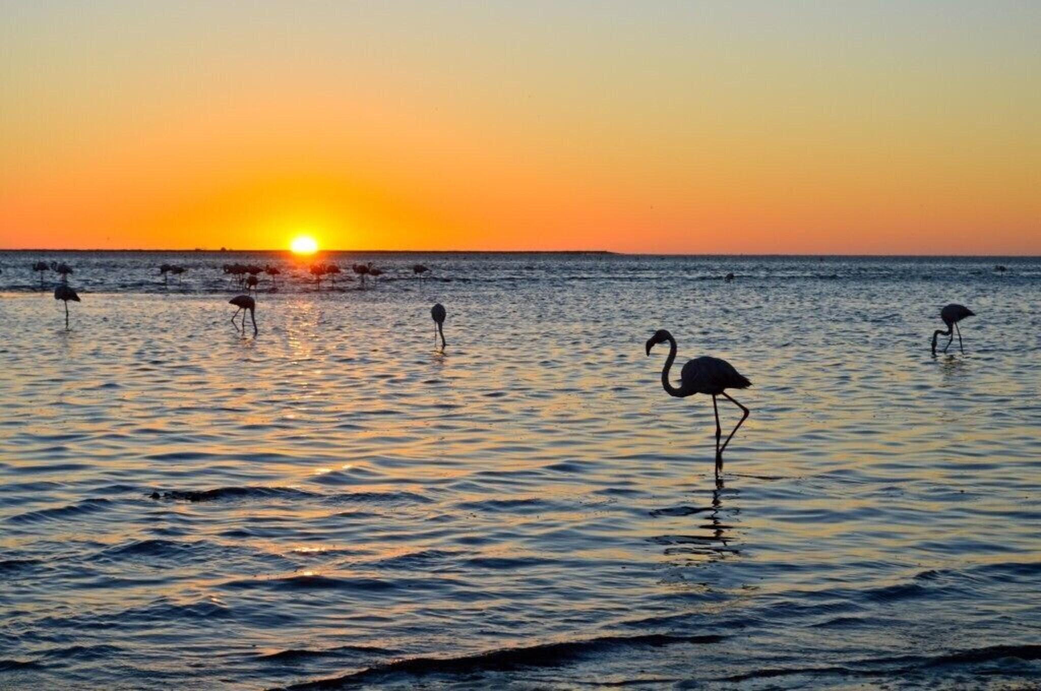 The Langholm Hotel by null