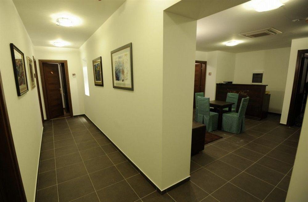 Villa Olea - фото