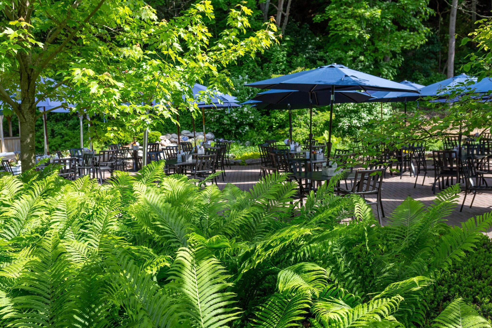 Island House Hotel by null