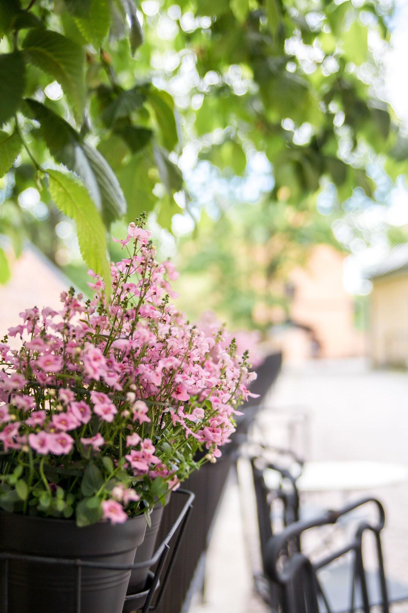 Akademihotellet by null