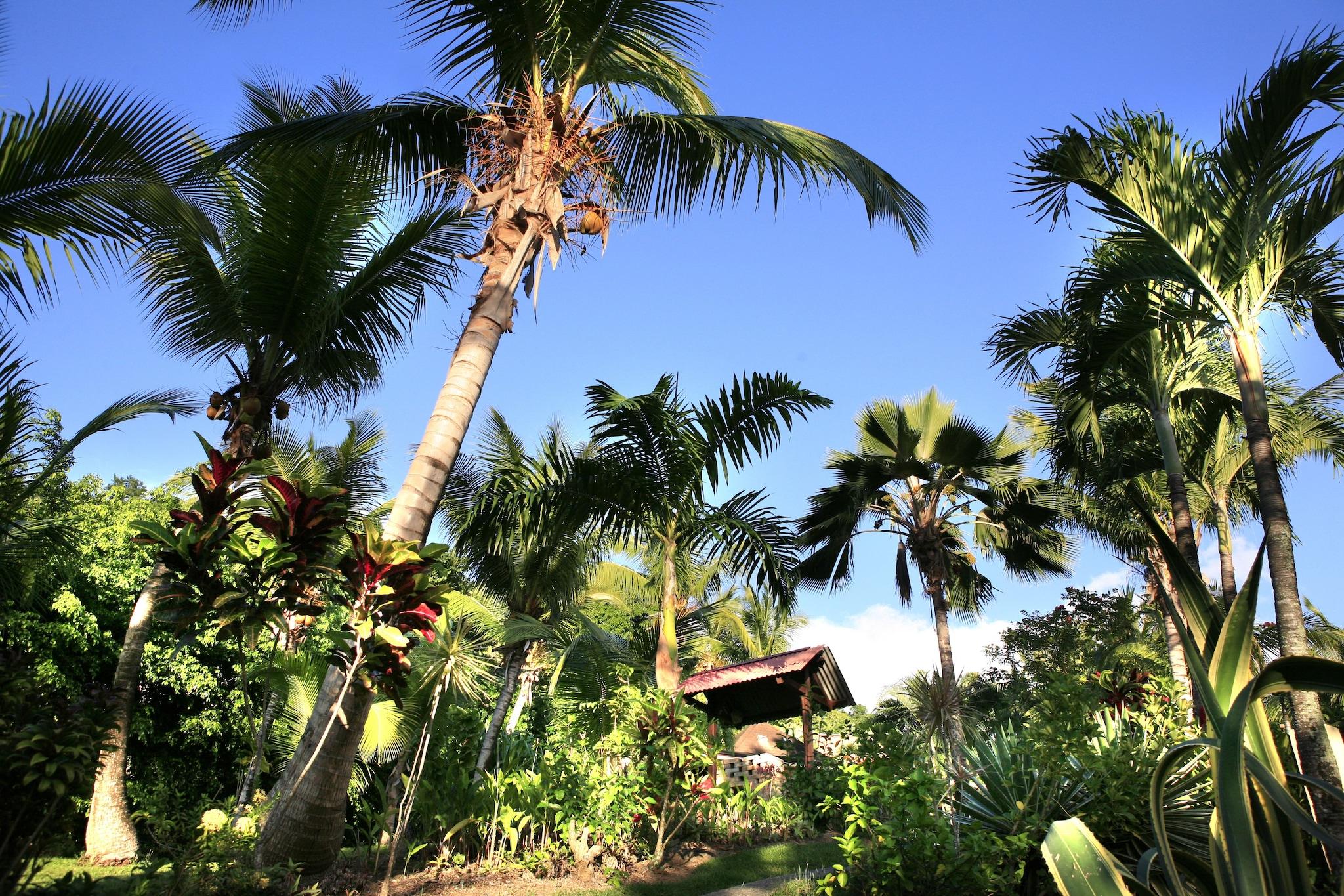 Habitation Grande Anse