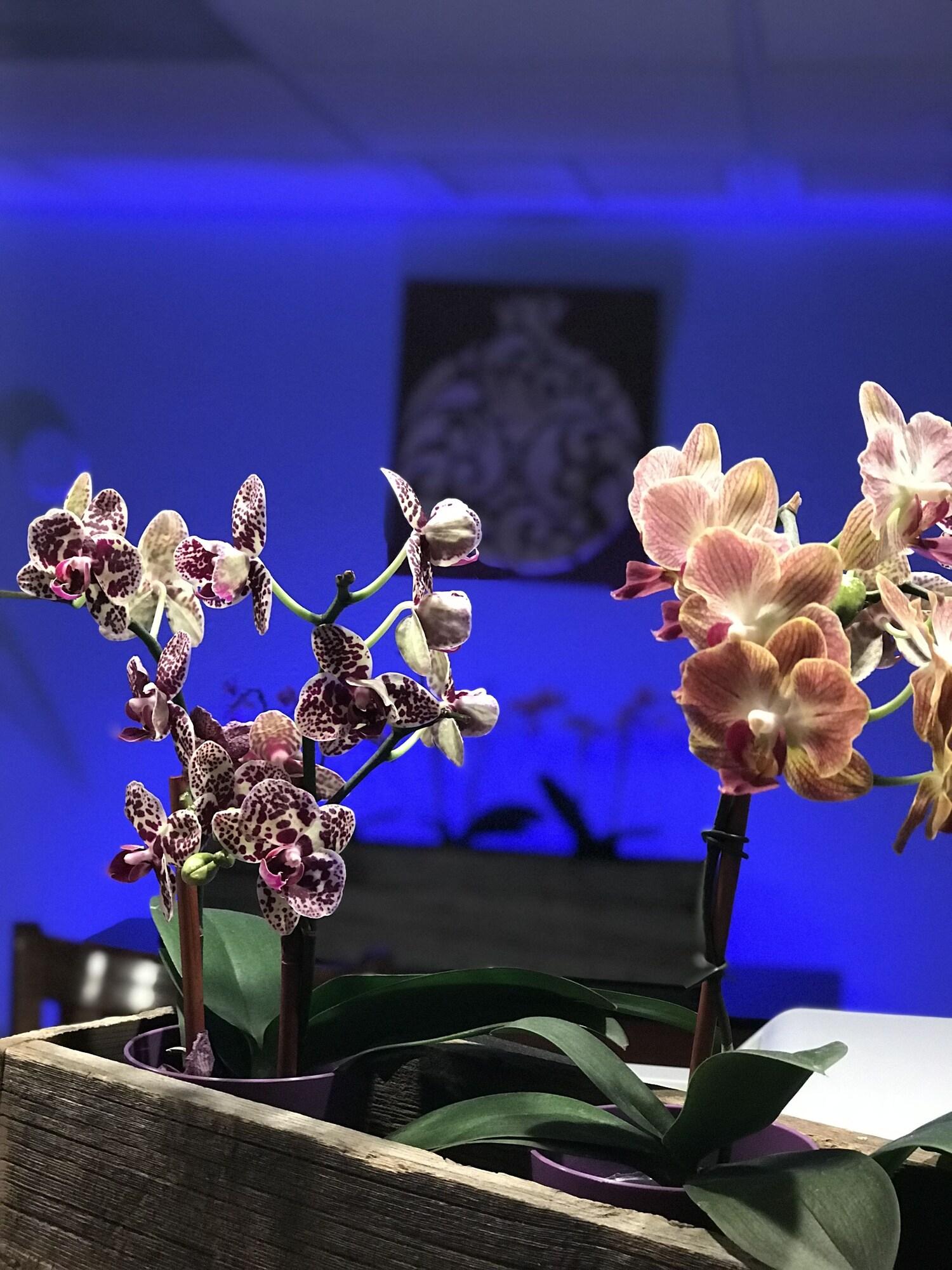 Noor Hotel of Capitol Reef by null