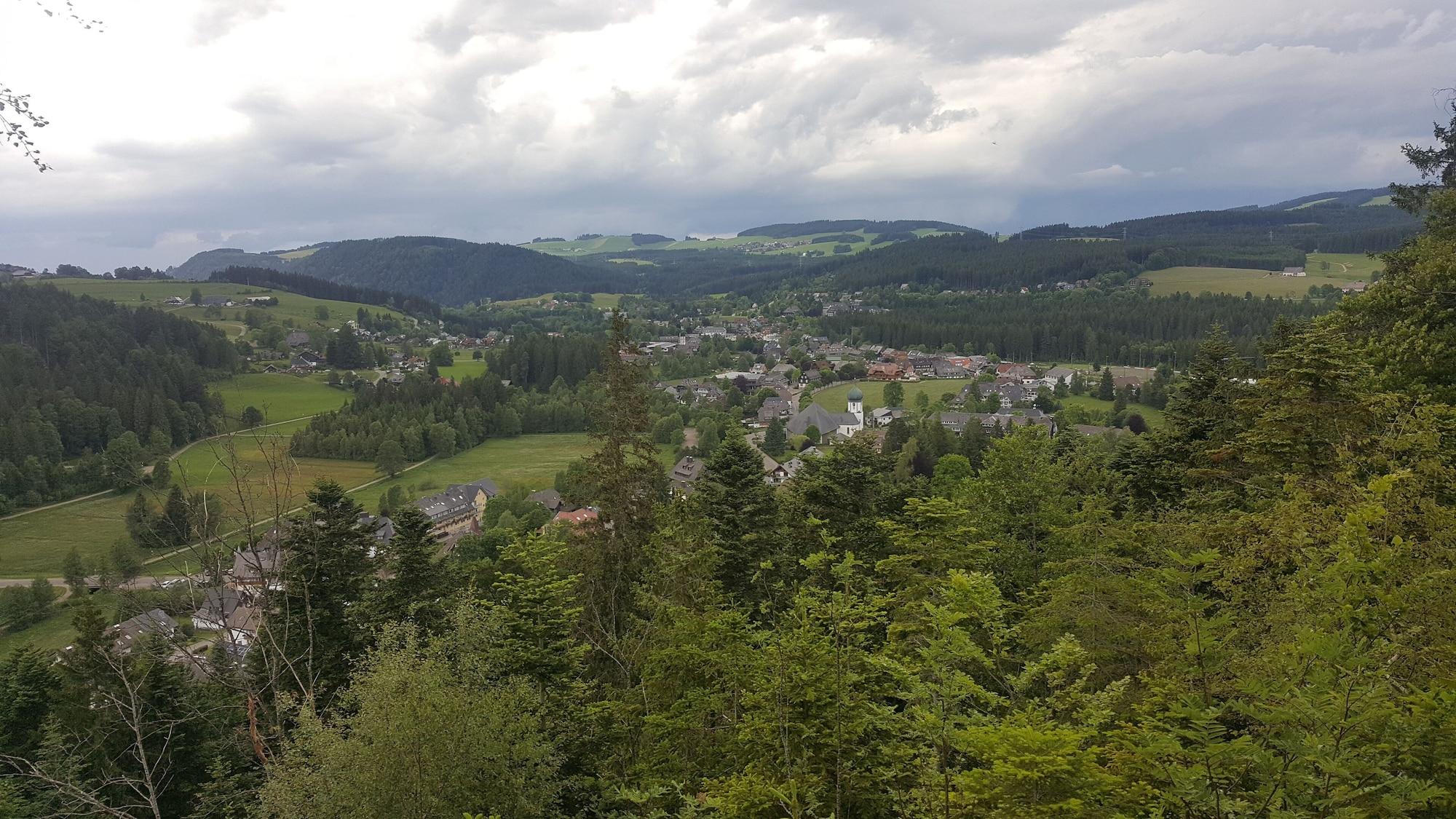 Zartenbach