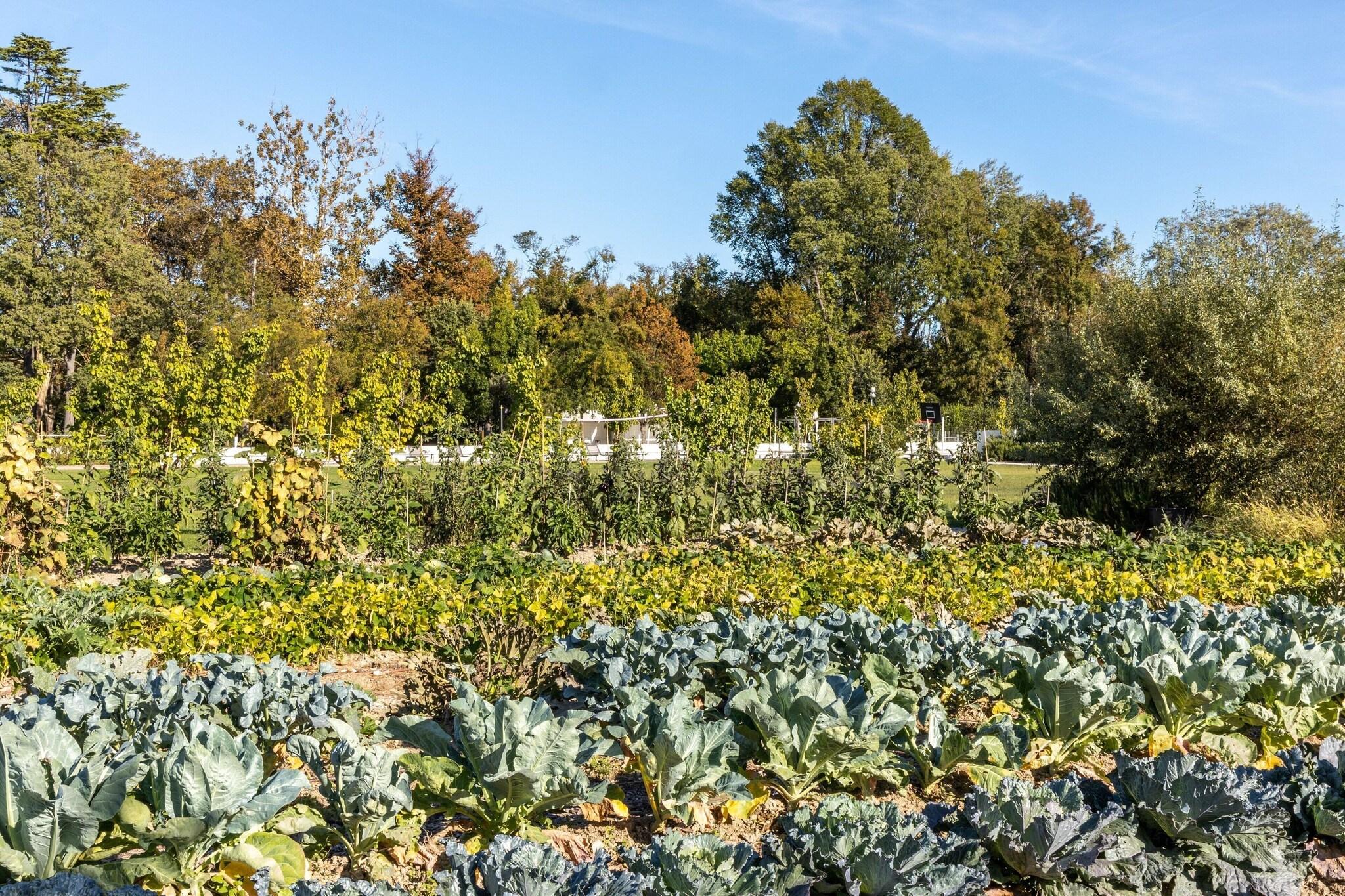 JW Venice - nuotrauka