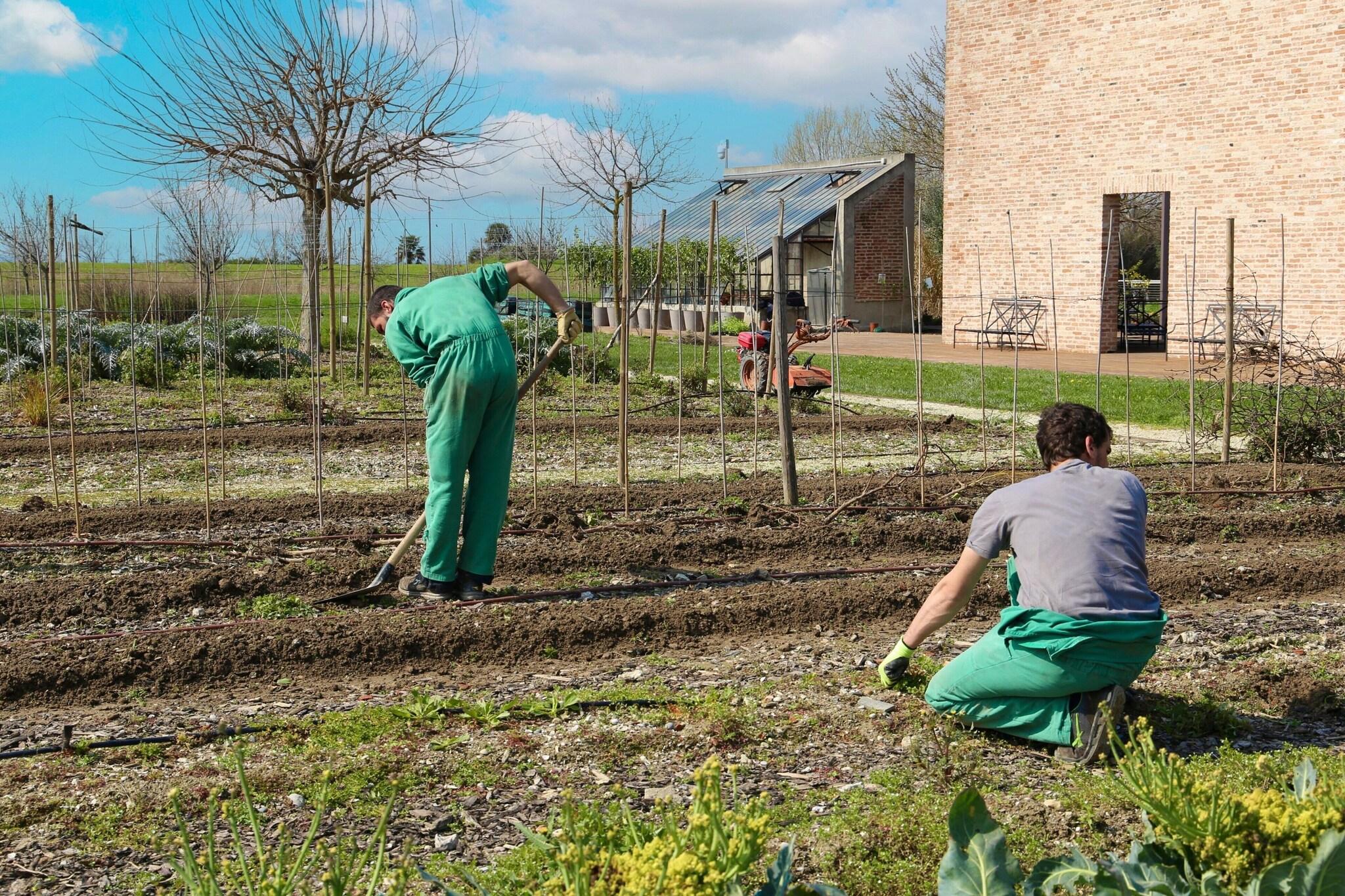 JW Venice - nuotrauka