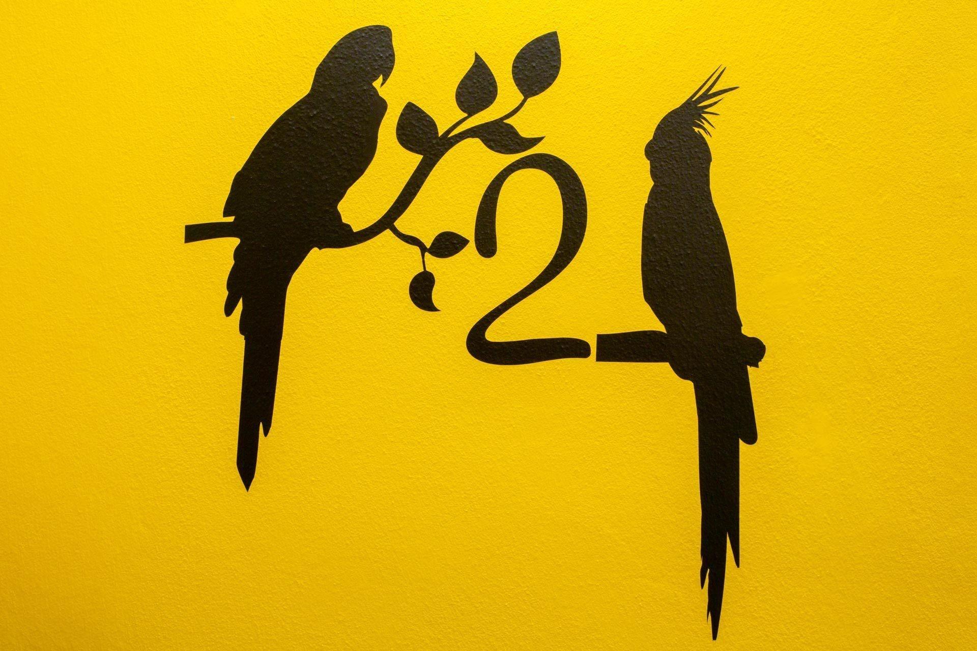 Costarica - nuotrauka