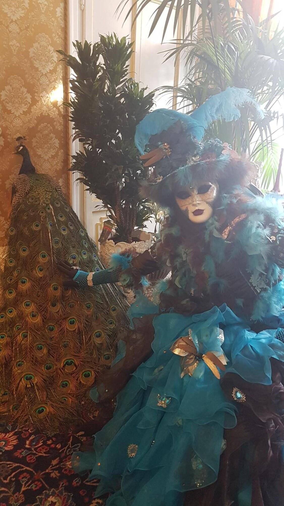 Friendly Venice - attēls