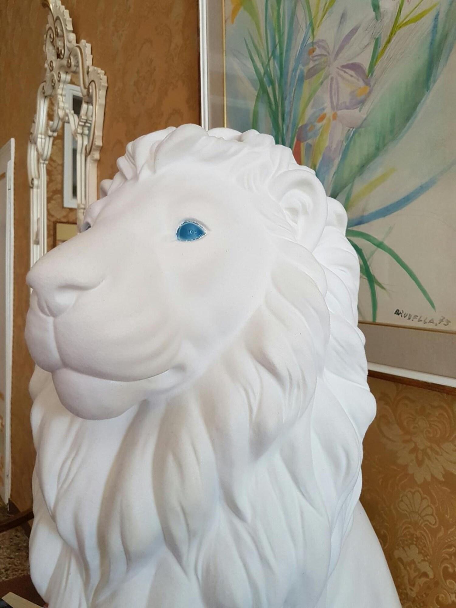 Friendly Venice - attēls