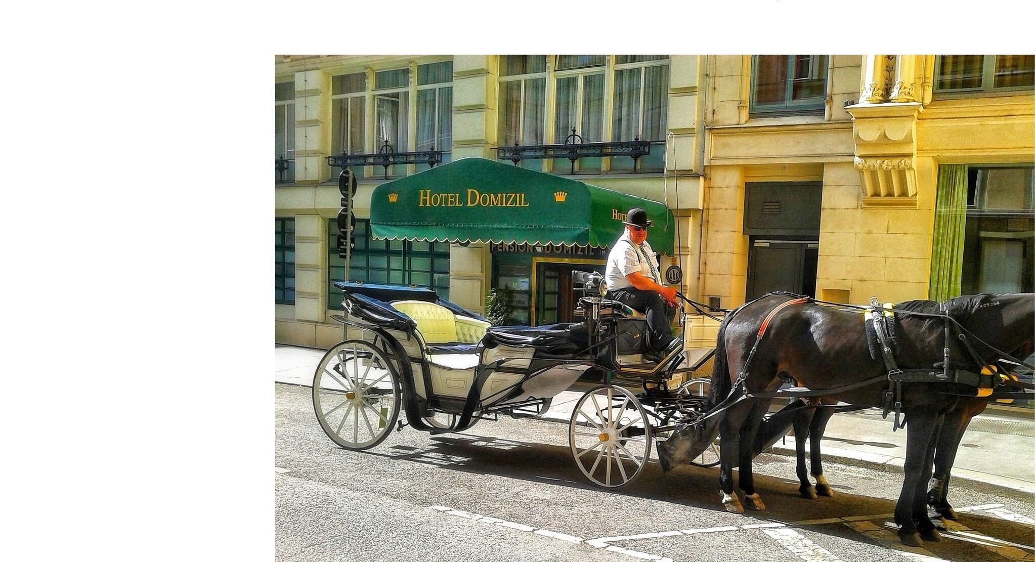 Hotel Domizil by null