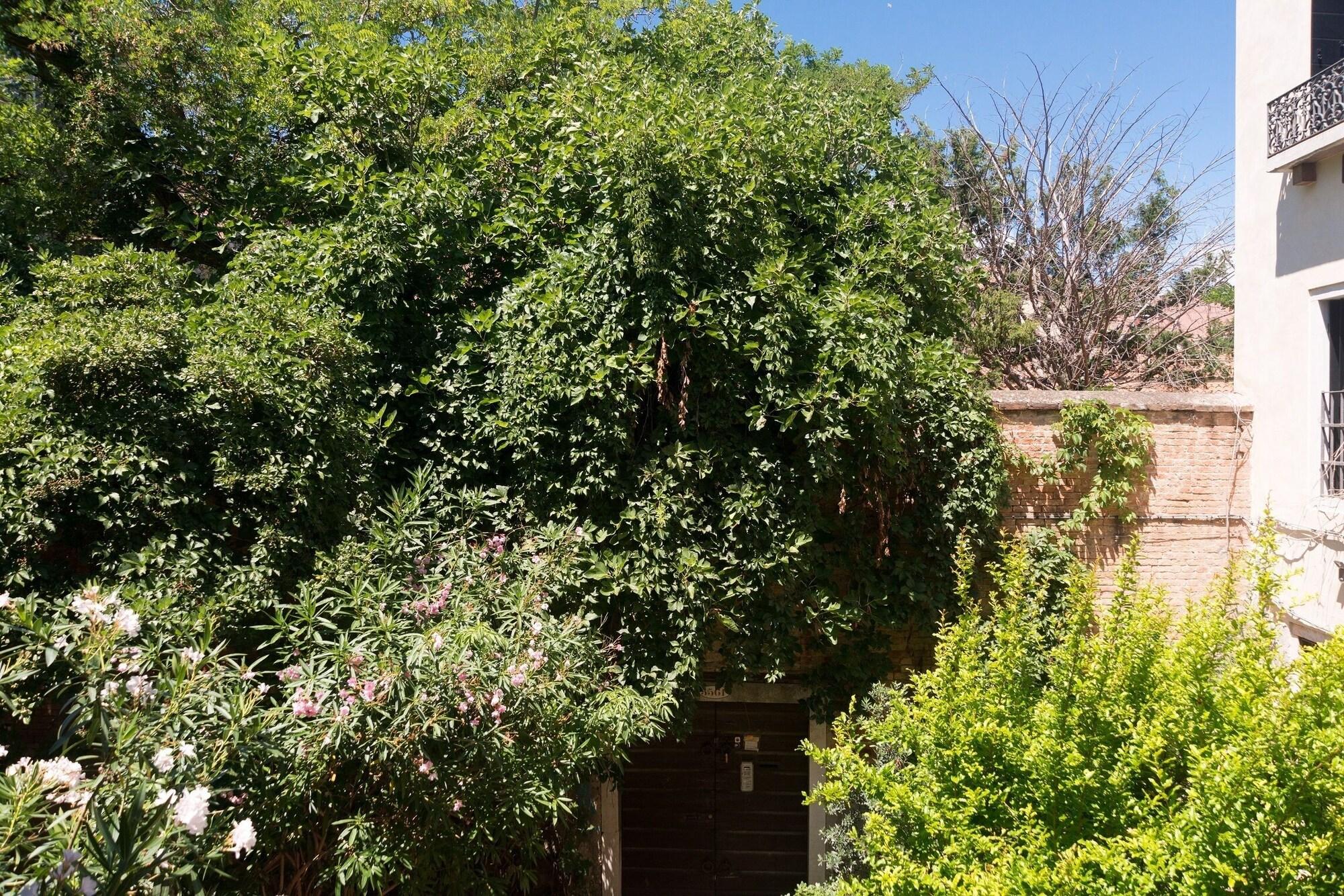 Casa Baseggio by null