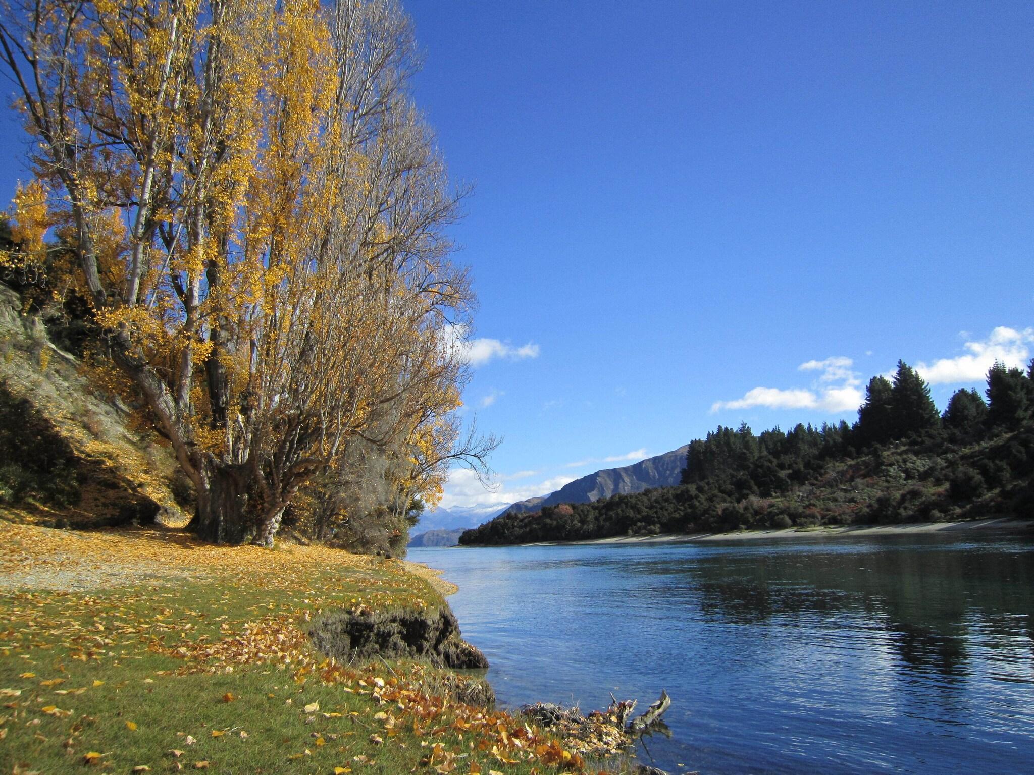 Lake Wanaka Lodge