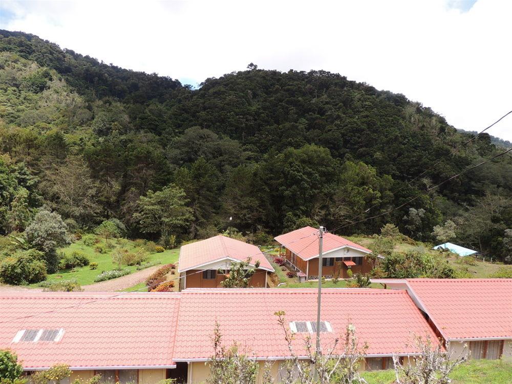 De Montaña Suria