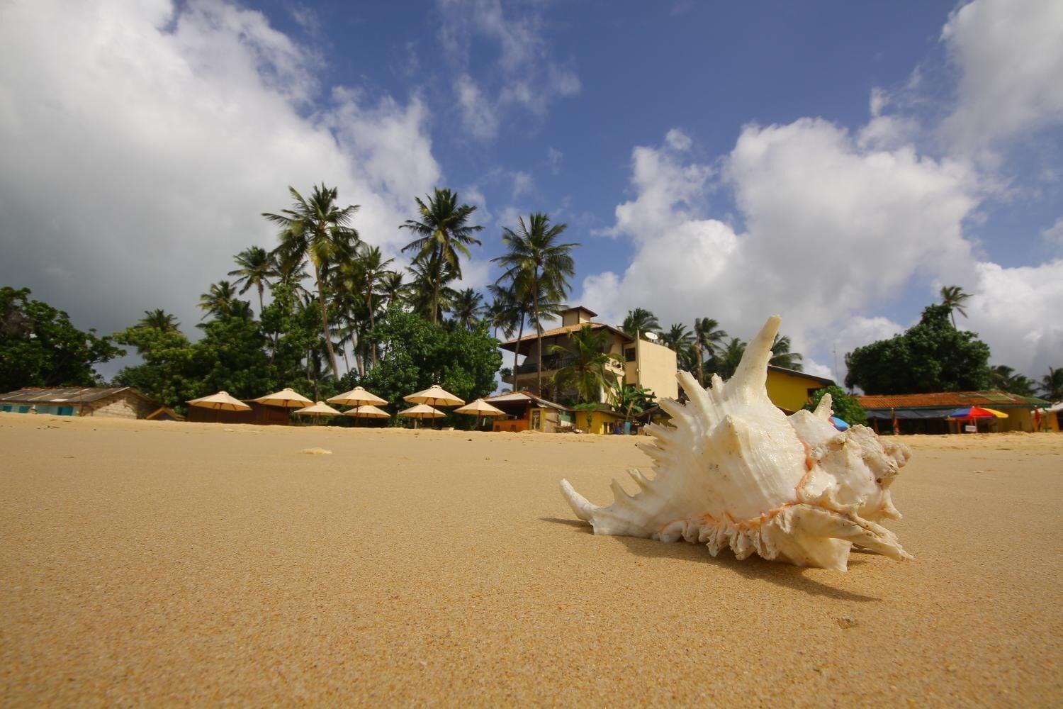 Kingfisher Hotel by null