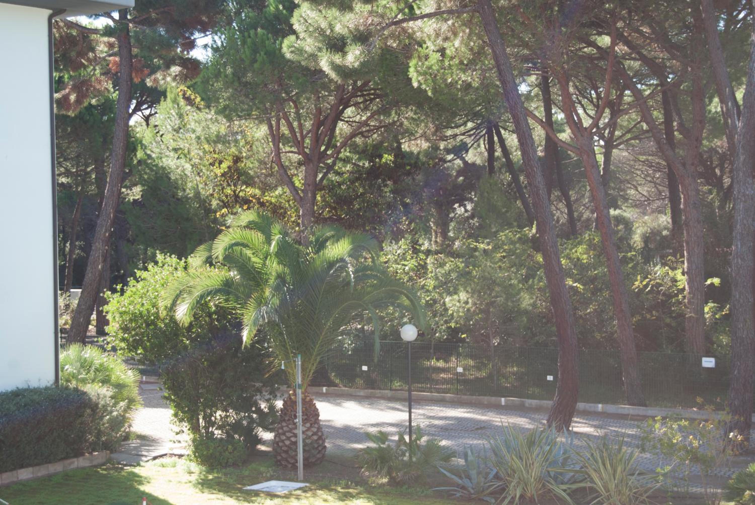 Verde Pineta Residence