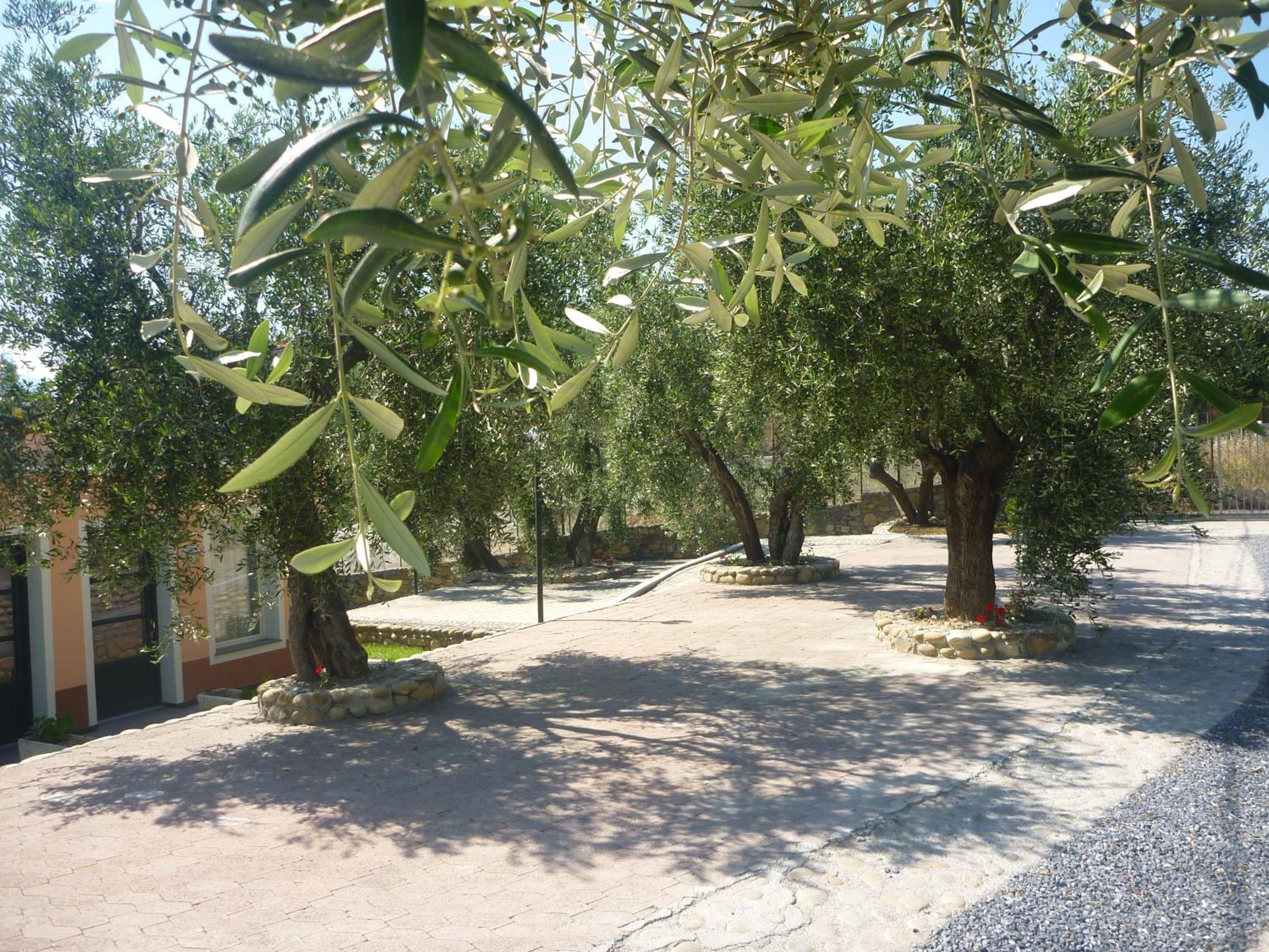 Borgo Verde-Uliveto