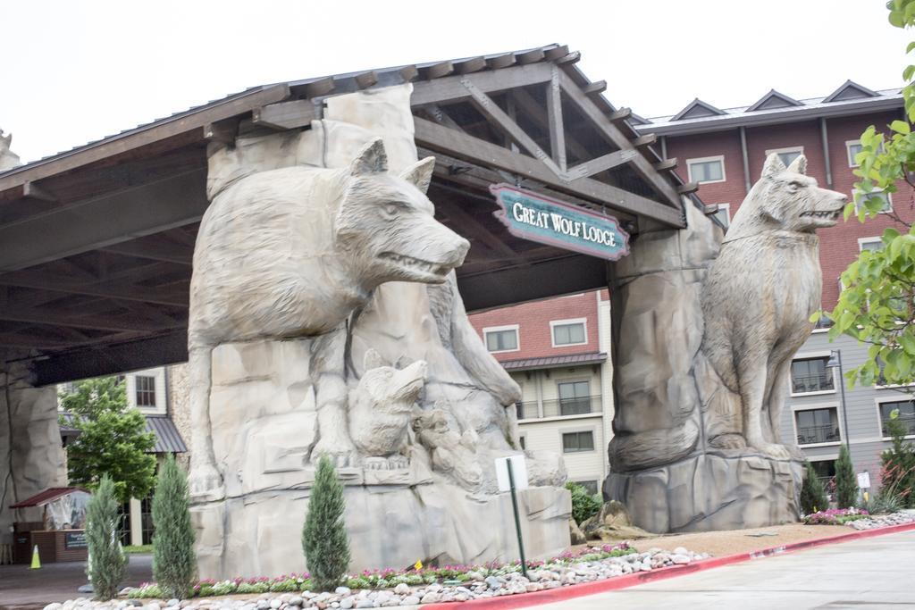 Great Wolf Lodge - Grapevine