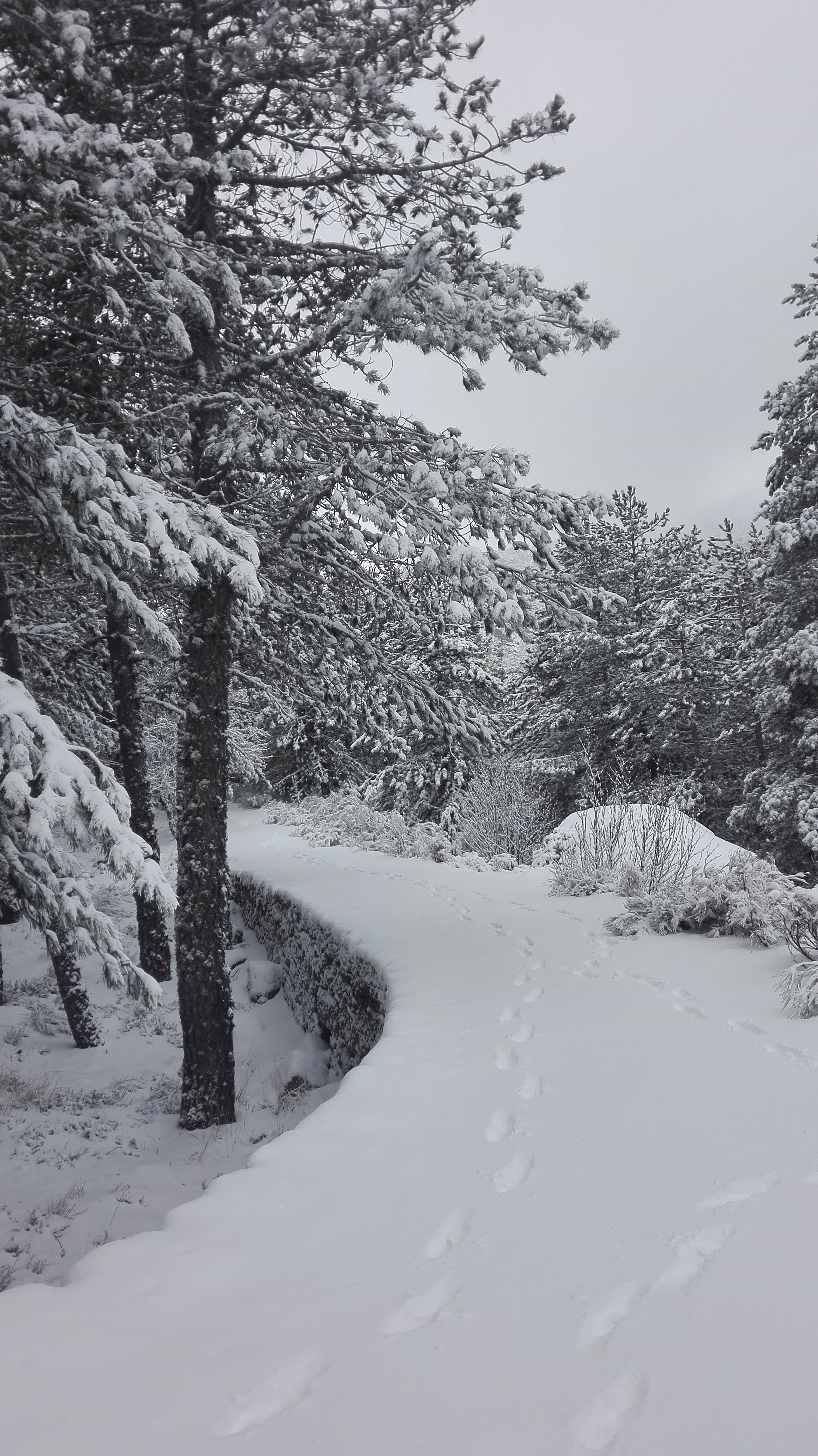 PESTANA POUSADA SERRA DA ESTRELA