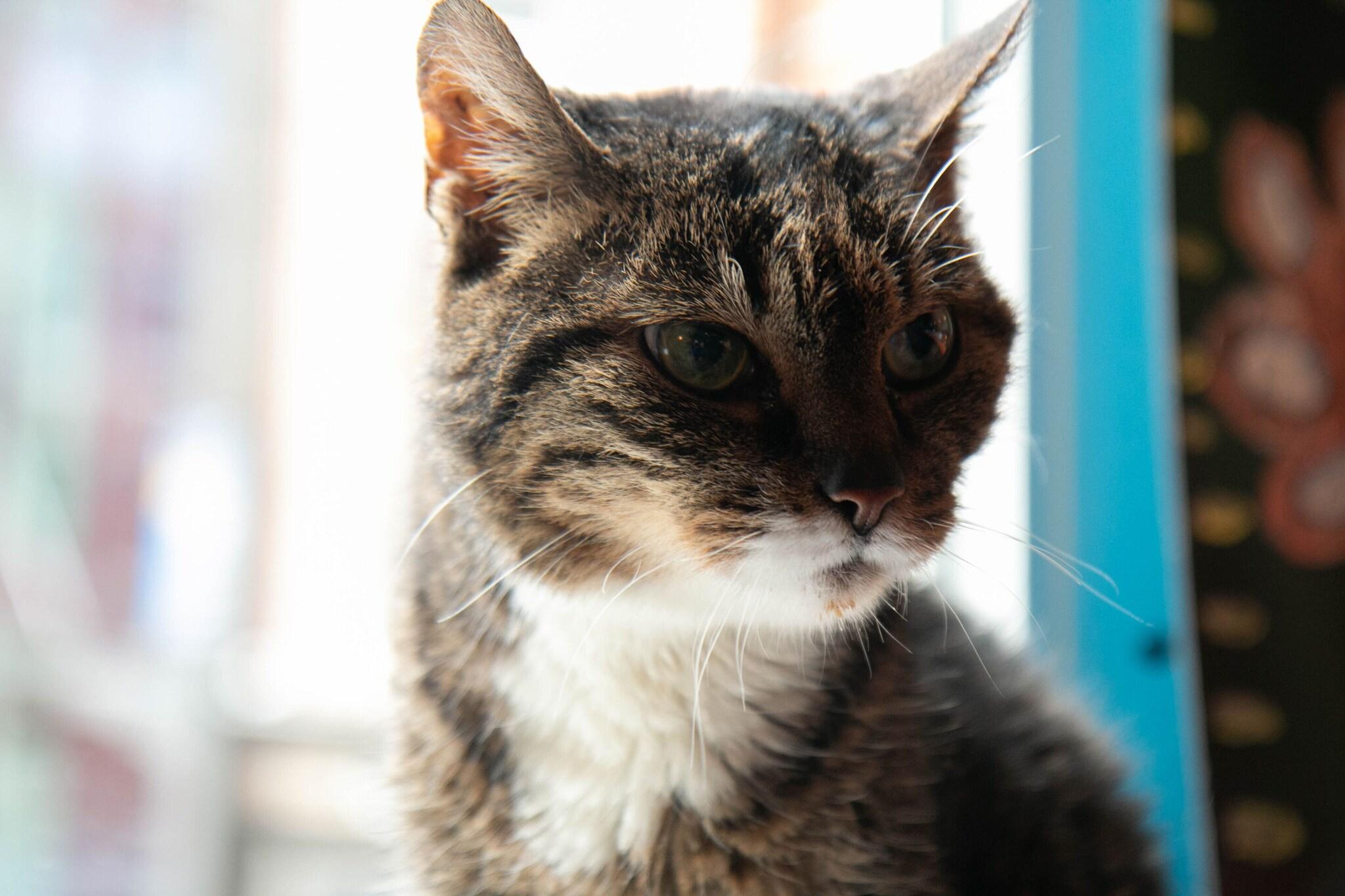 Hotel La Boheme by null