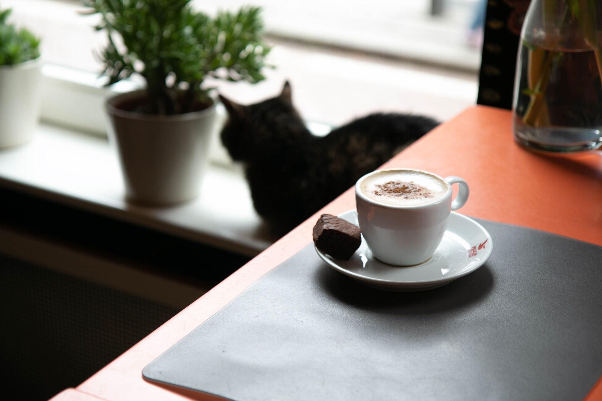 Hotel La Boheme by null