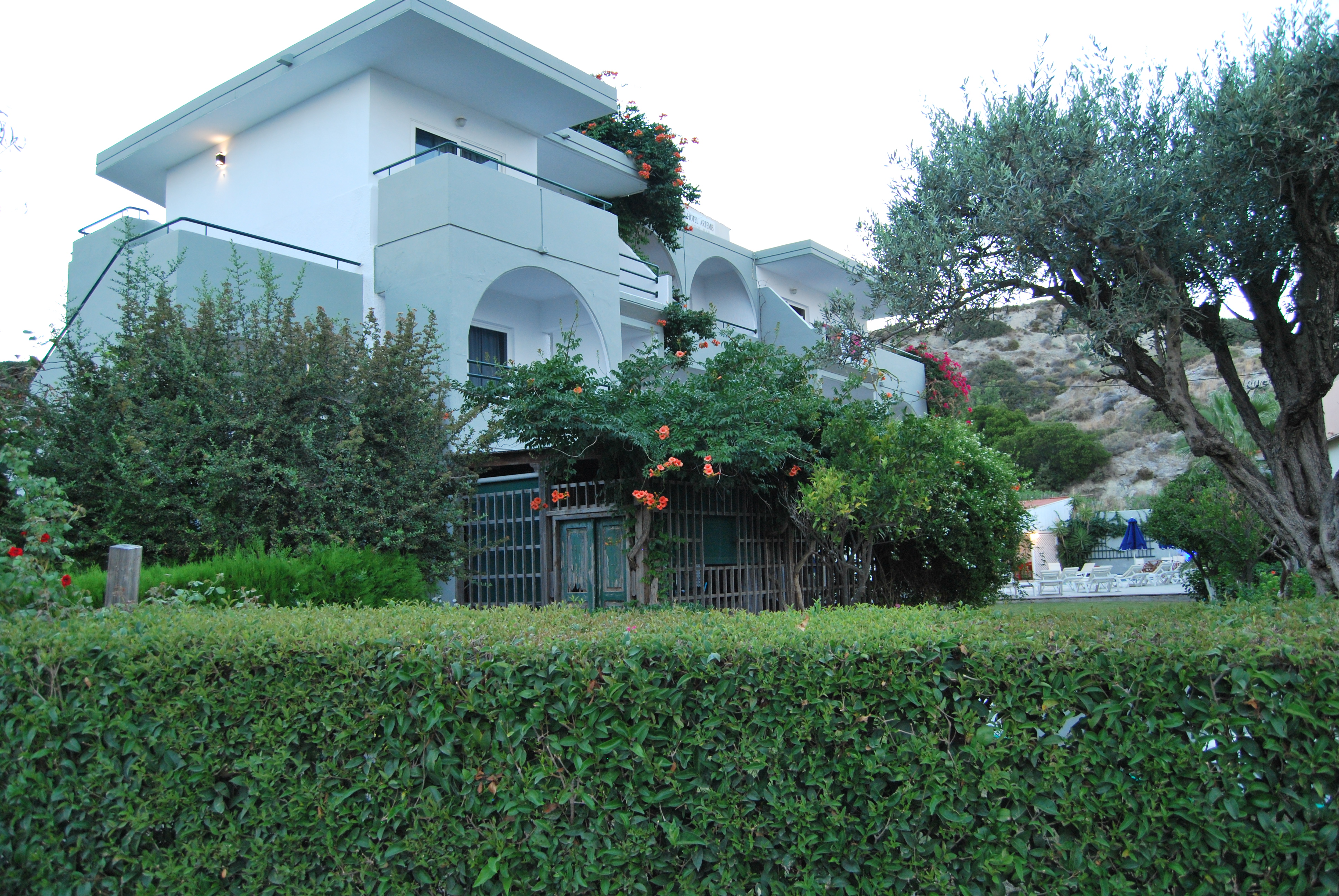 Artemis Studios - фото