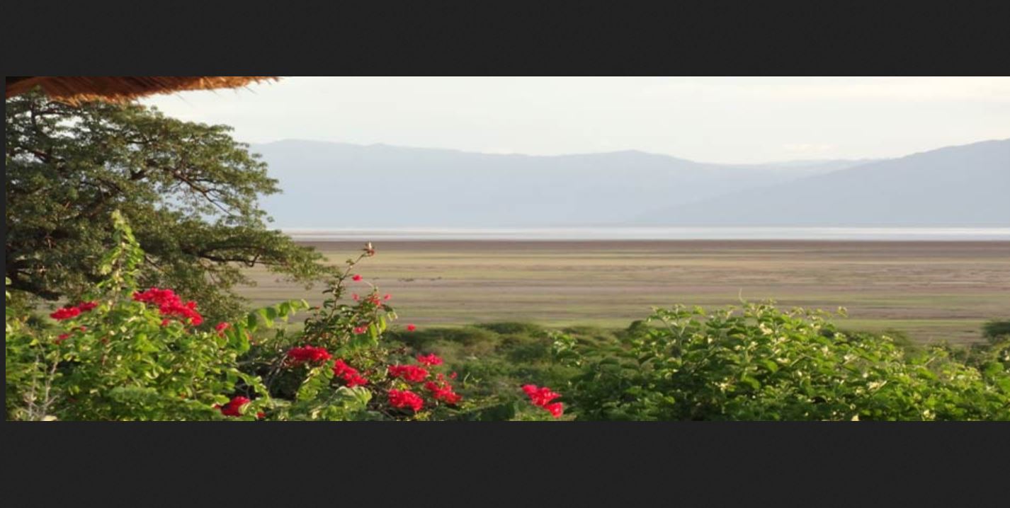 Manyara Wildlife Safari Camp