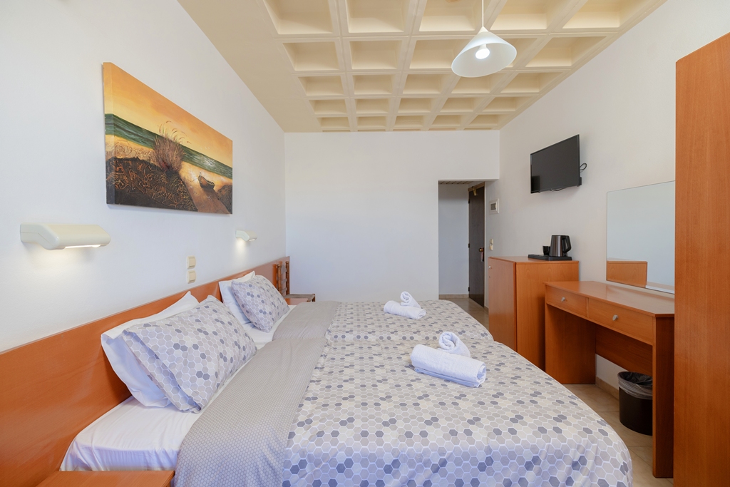 Double or twin room, garden view