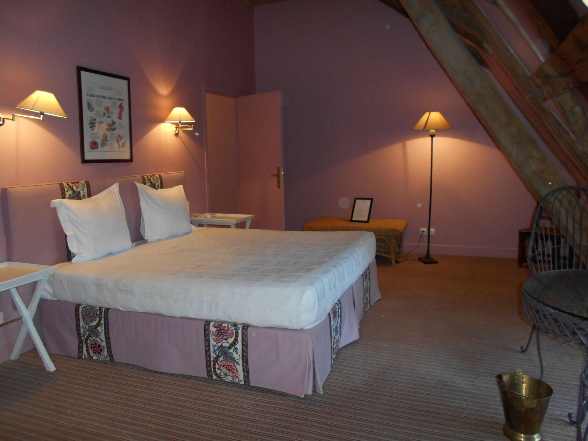 Château de la Bourdaisière by null