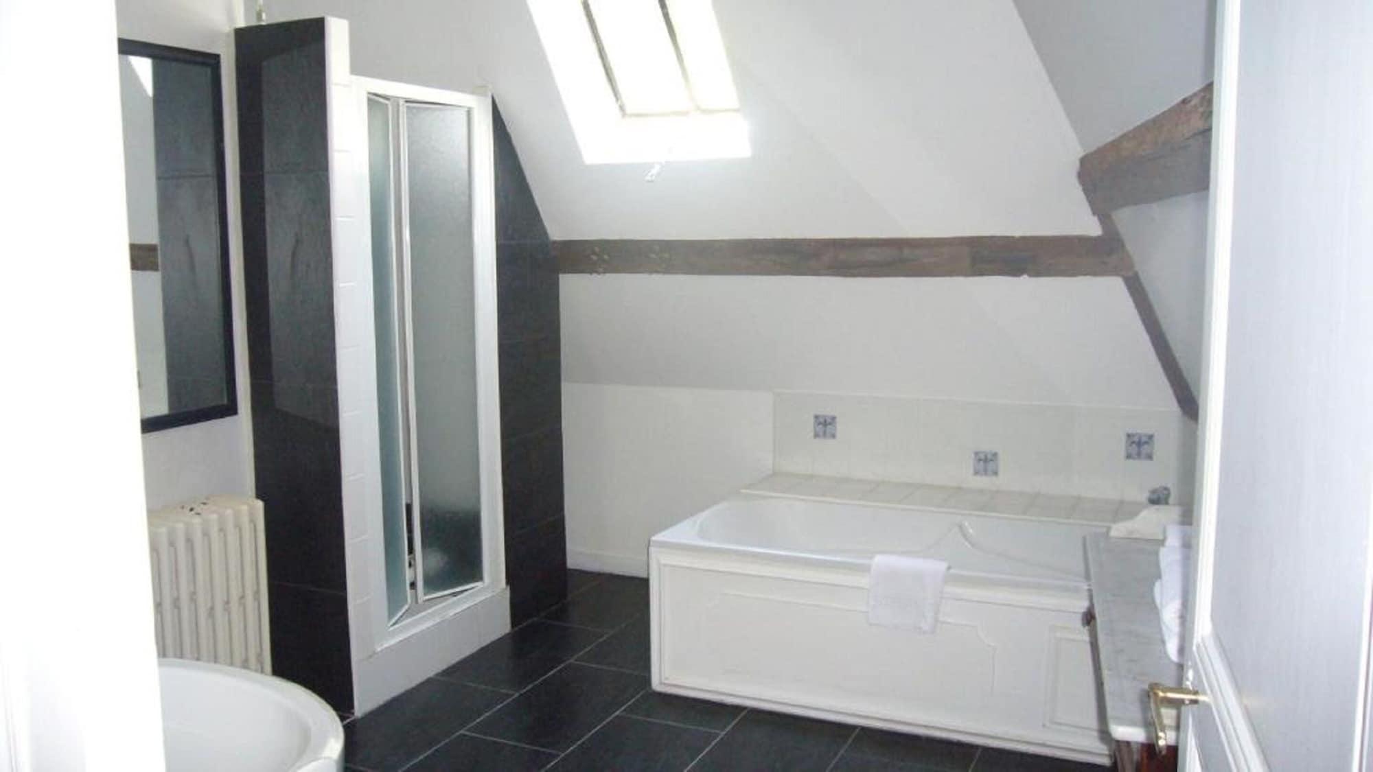 Château de la Bourdaisière by null