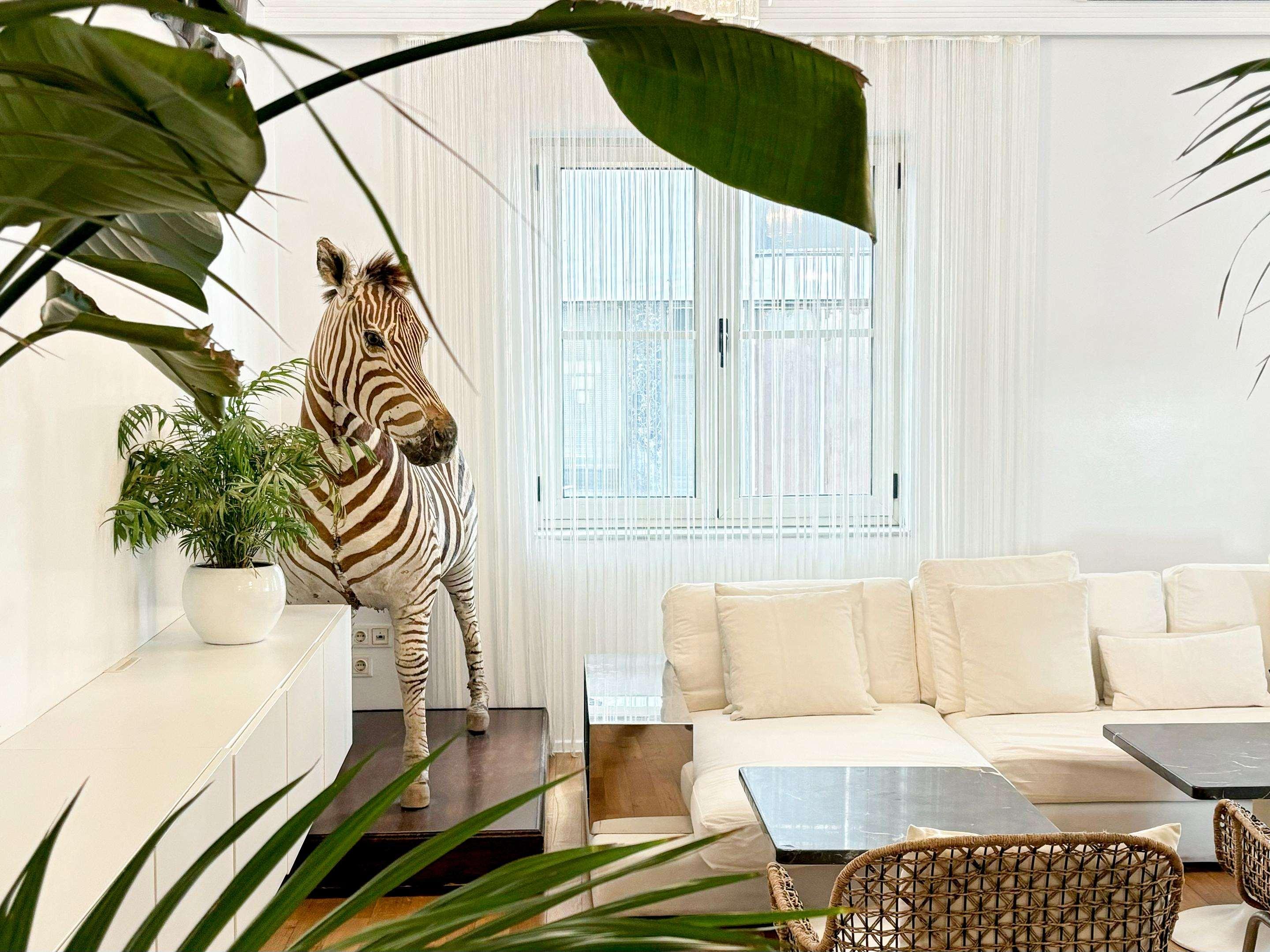 Grecotel Pallas Athena - photo