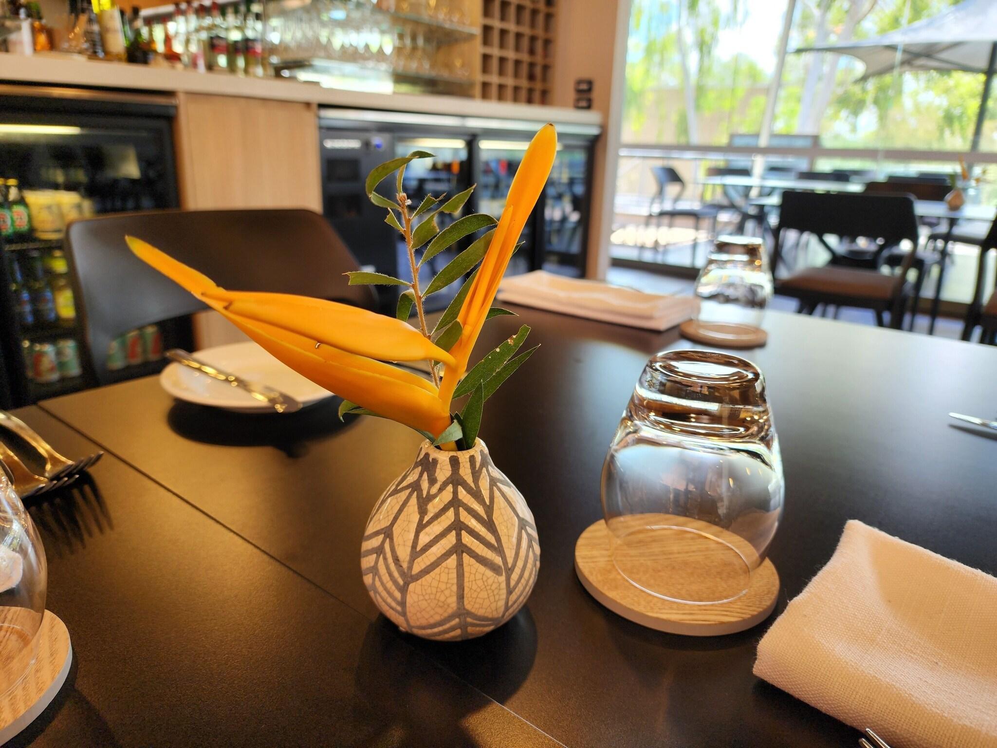 Cicada Lodge by null