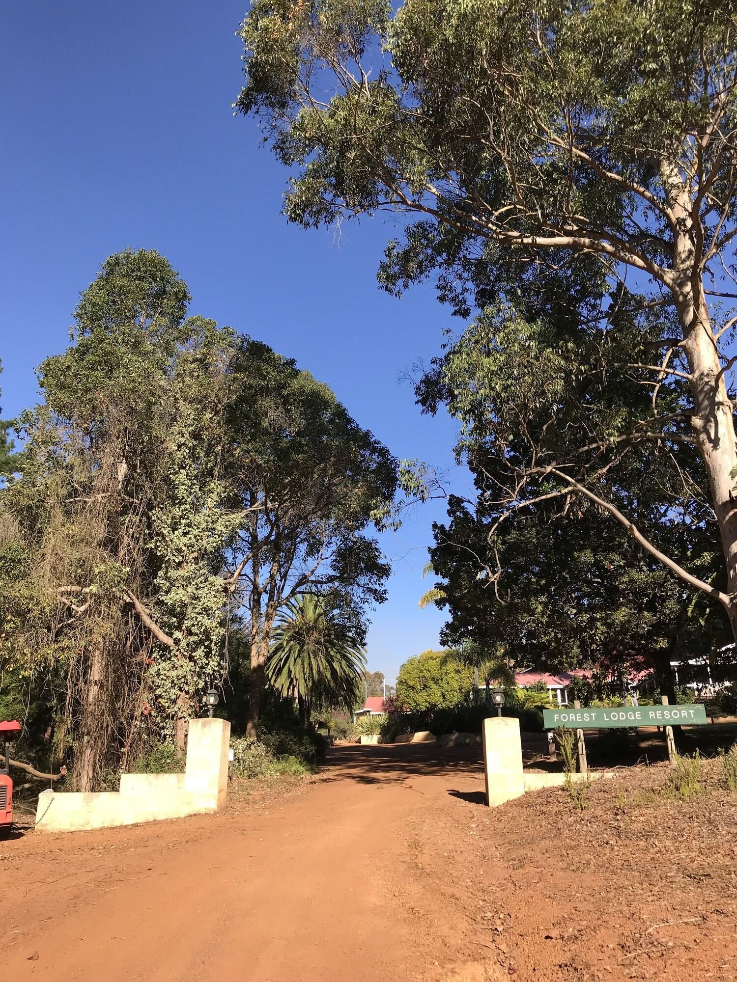 The Forest Lodge Resort Pemberton WA by null