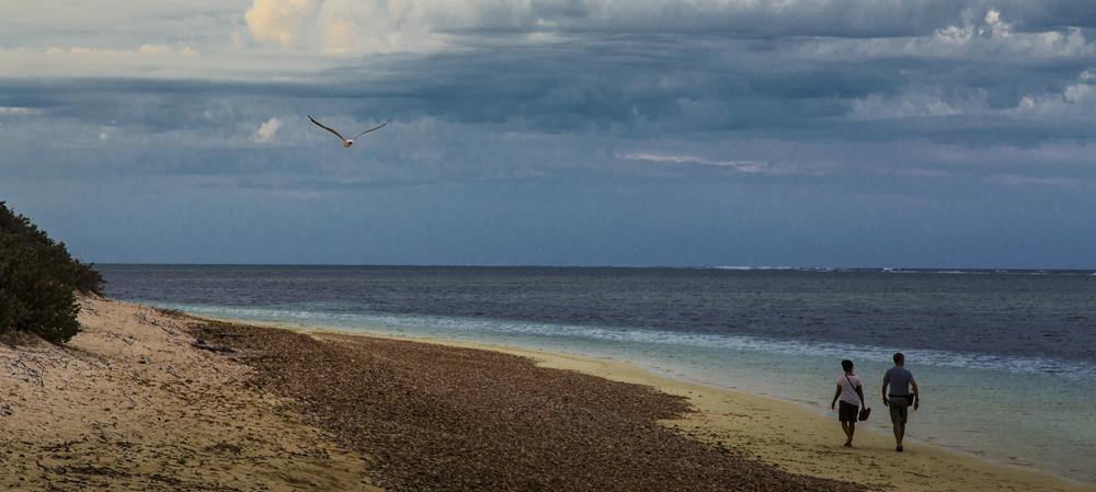 Sal Salis Ningaloo Reef by null